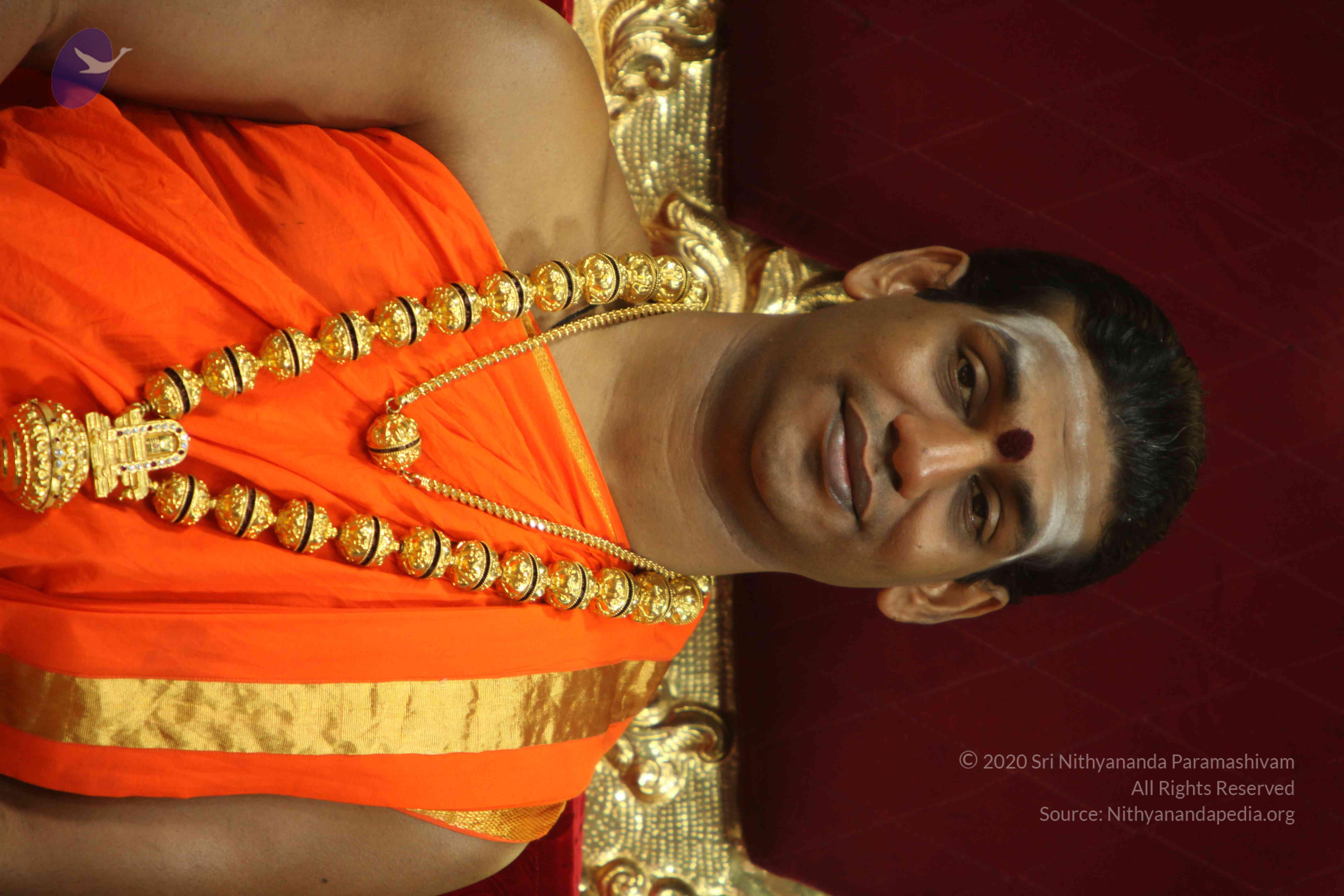 20110225_Photo_1122_IMG_1012_CMP_WM