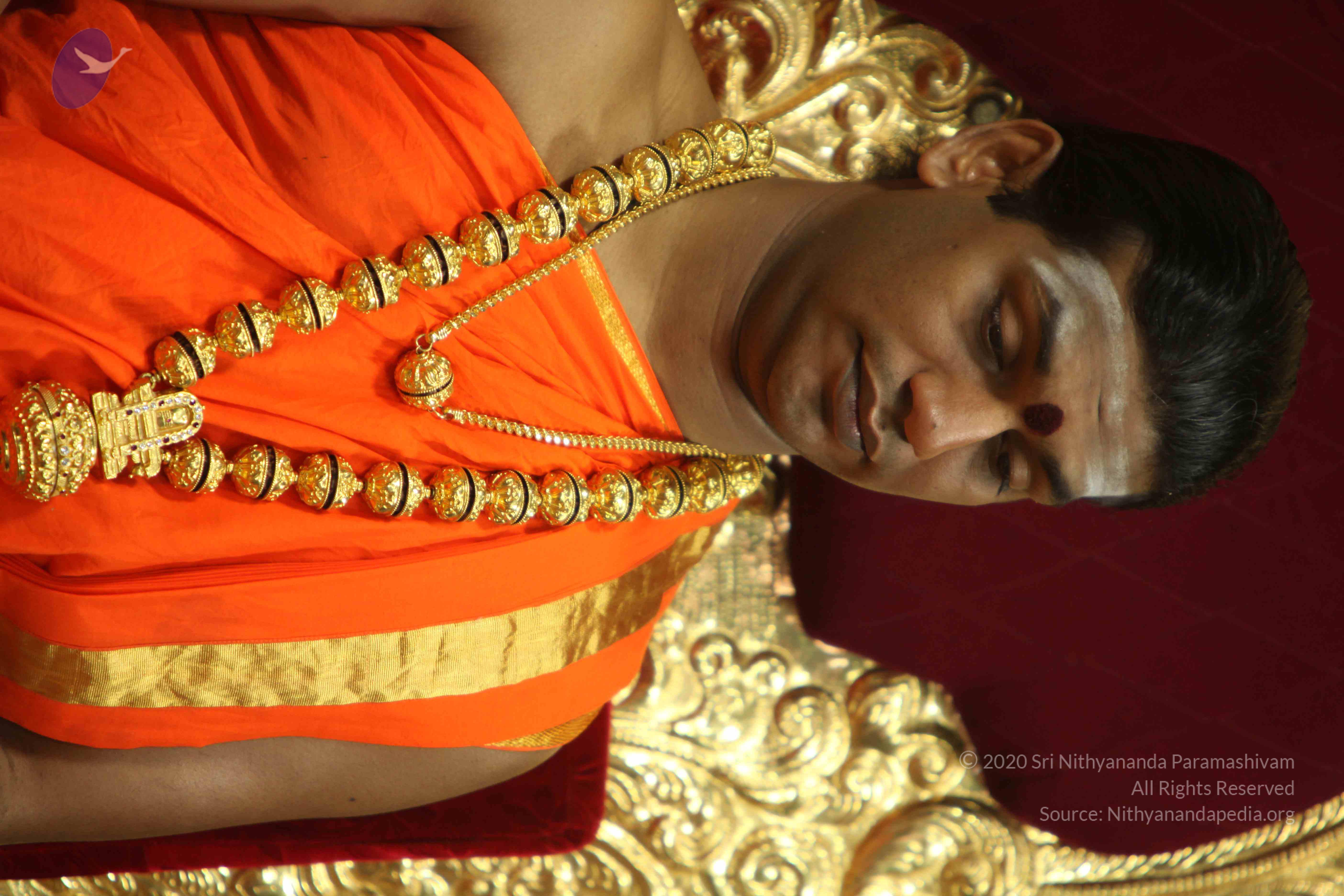 20110225_Photo_1123_IMG_1025_CMP_WM