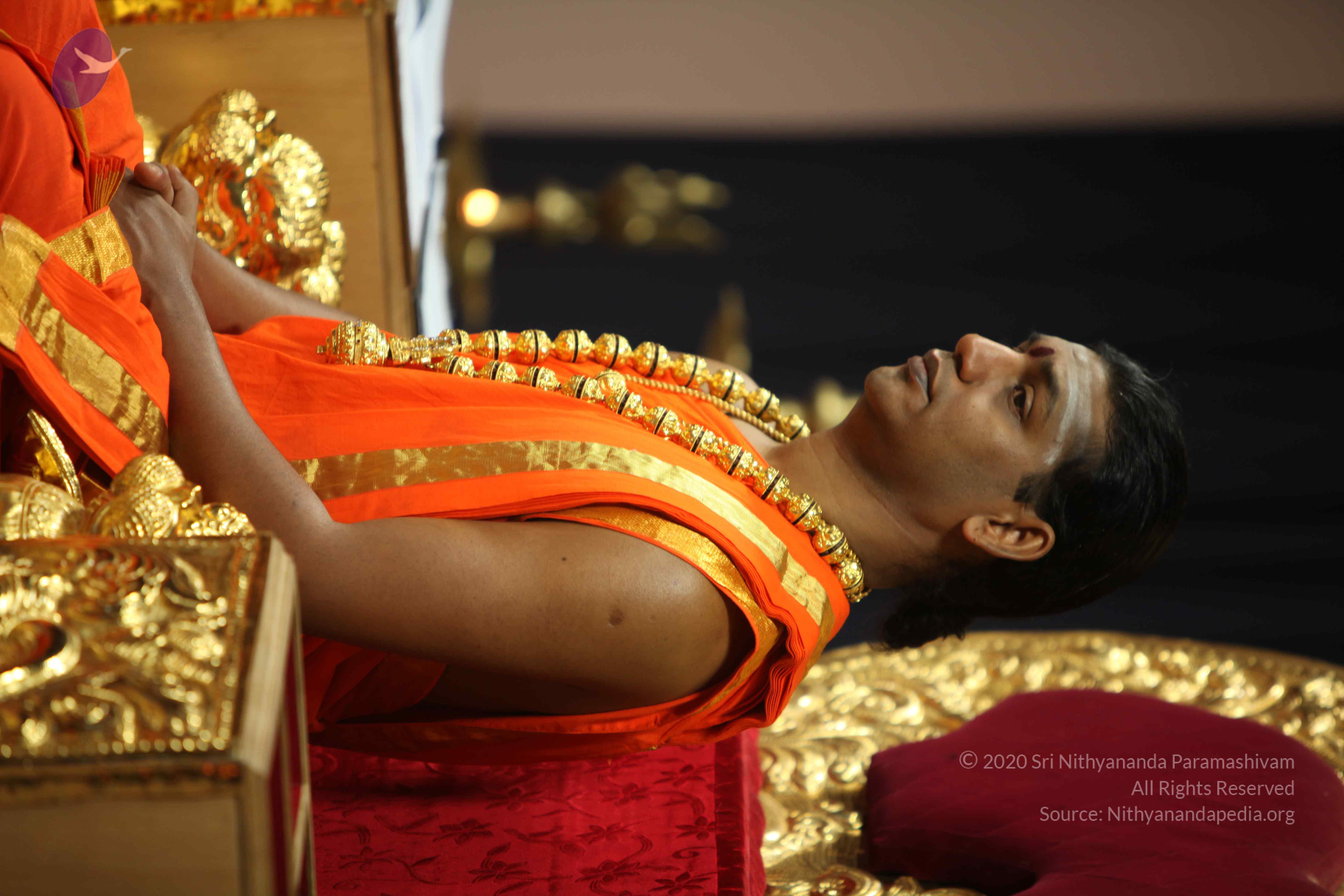 20110225_Photo_1128_IMG_0951_CMP_WM