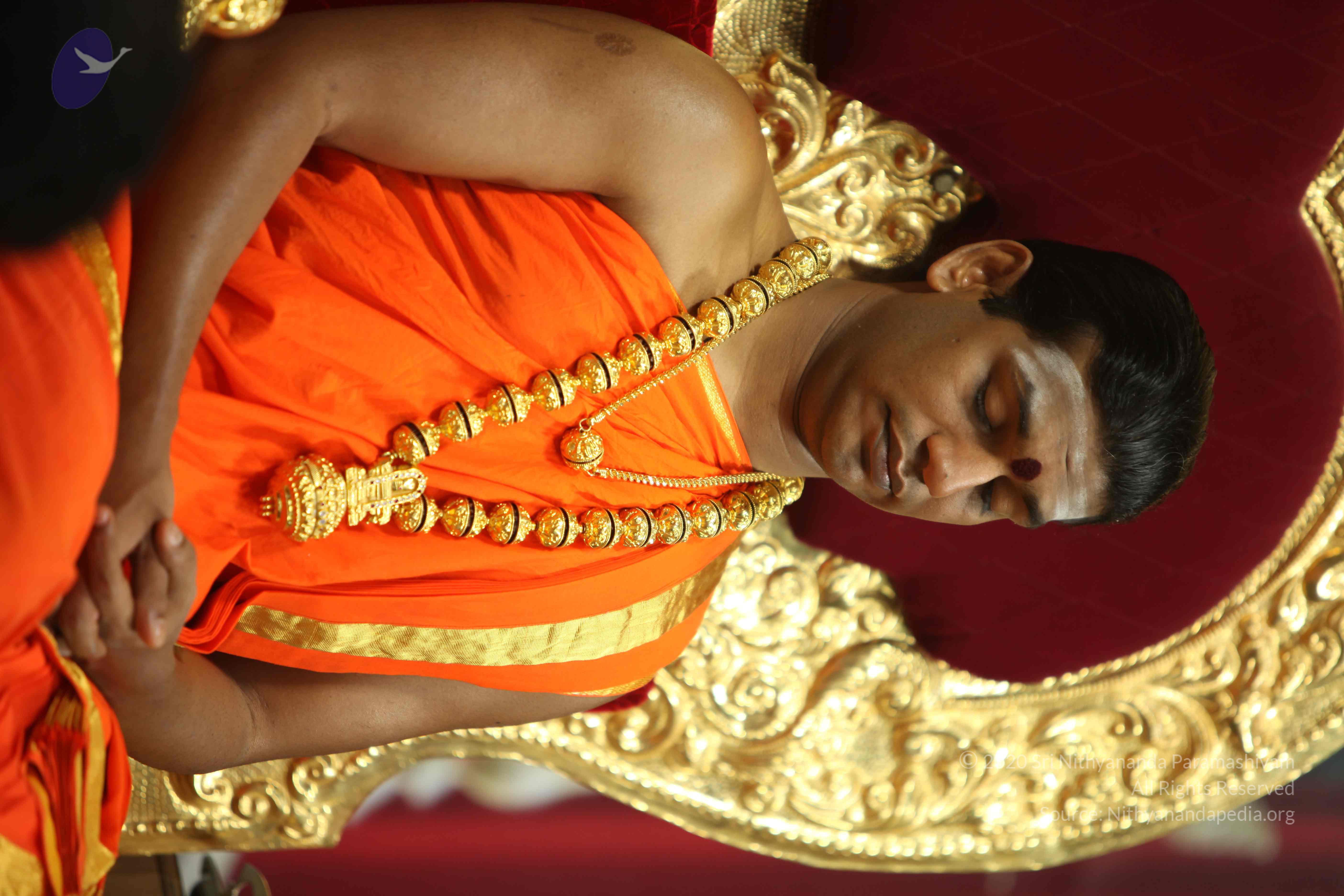 20110225_Photo_1132_IMG_0904_CMP_WM