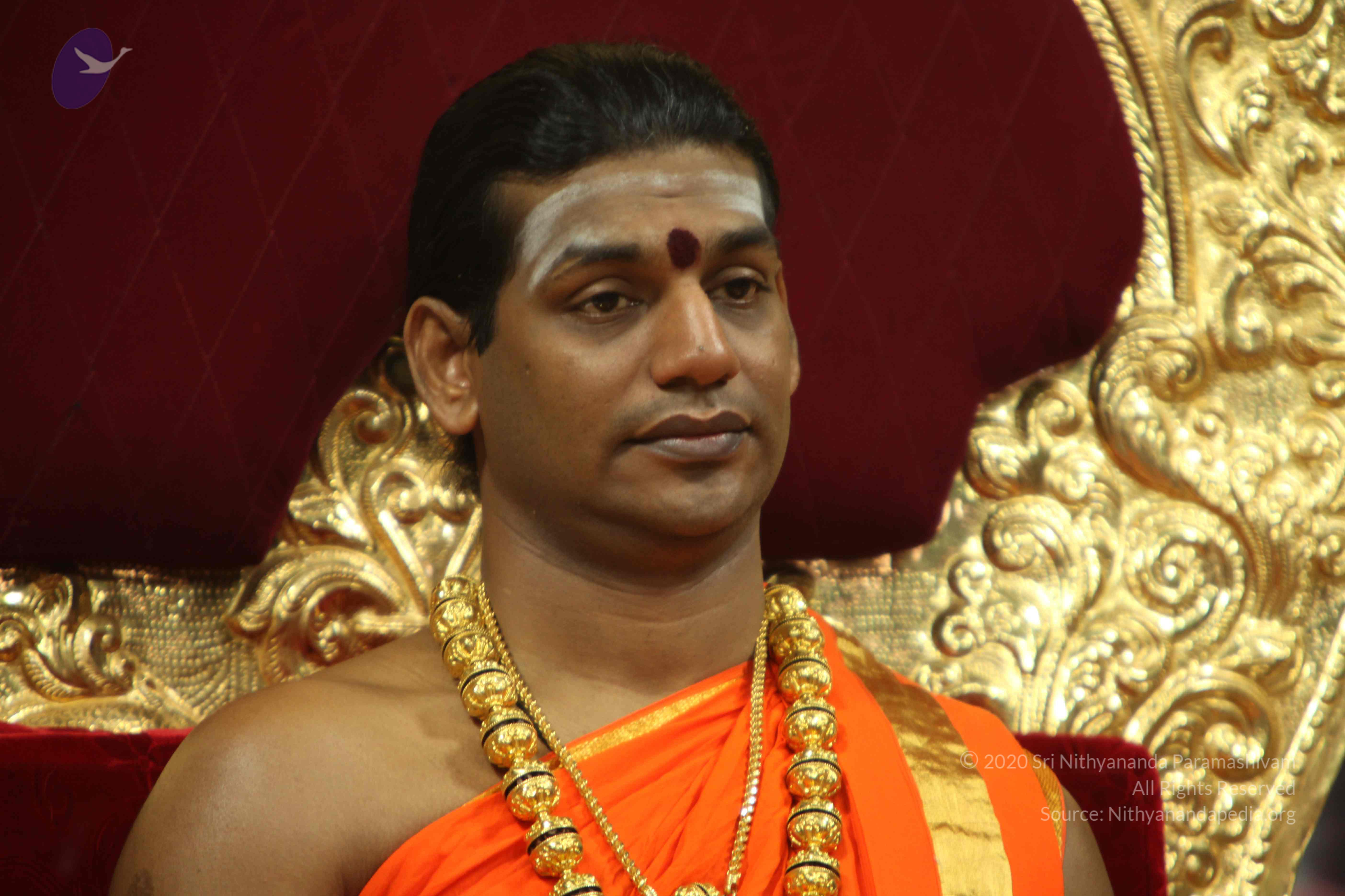 20110225_Photo_1133_IMG_1020_CMP_WM