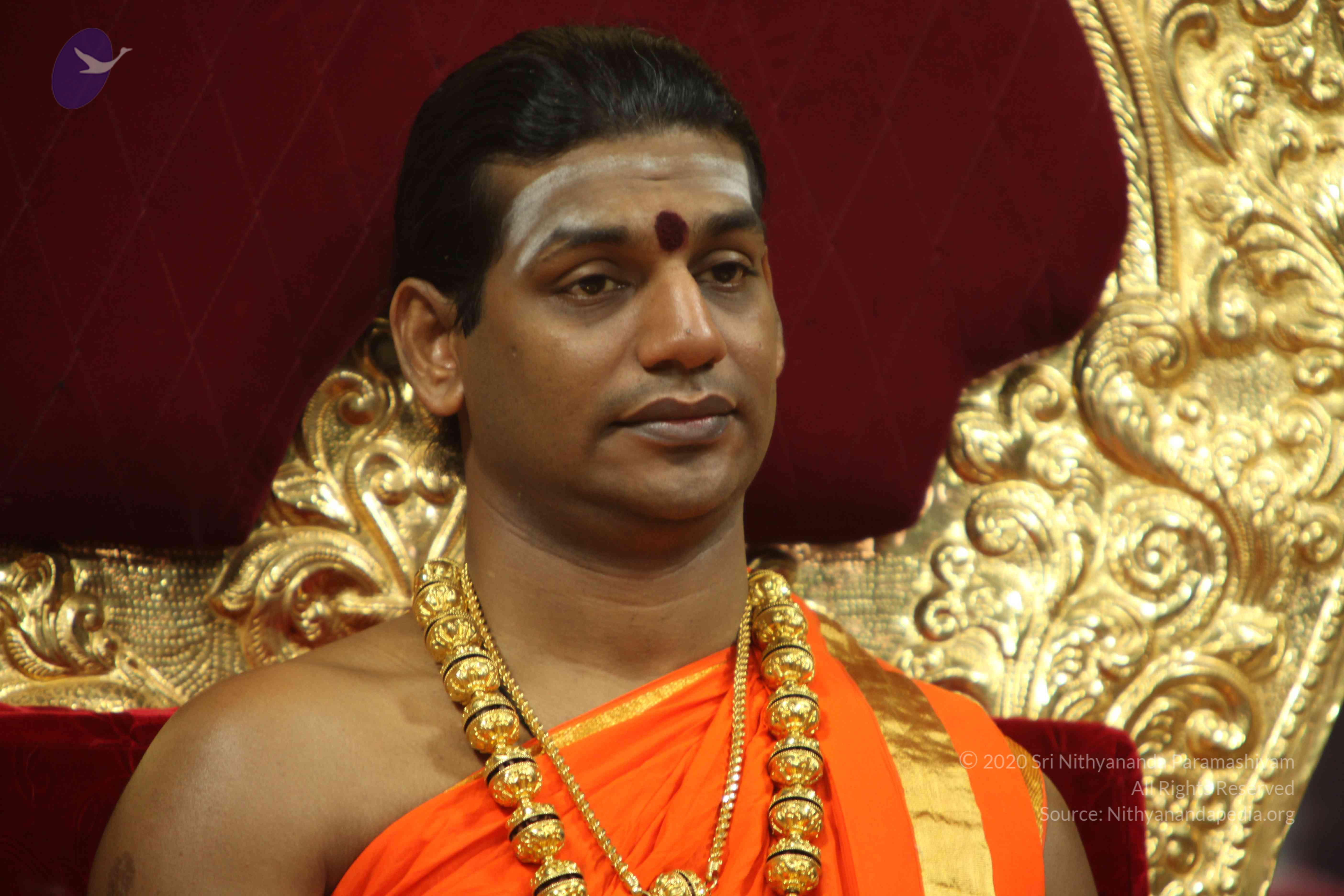 20110225_Photo_1134_IMG_1017_CMP_WM