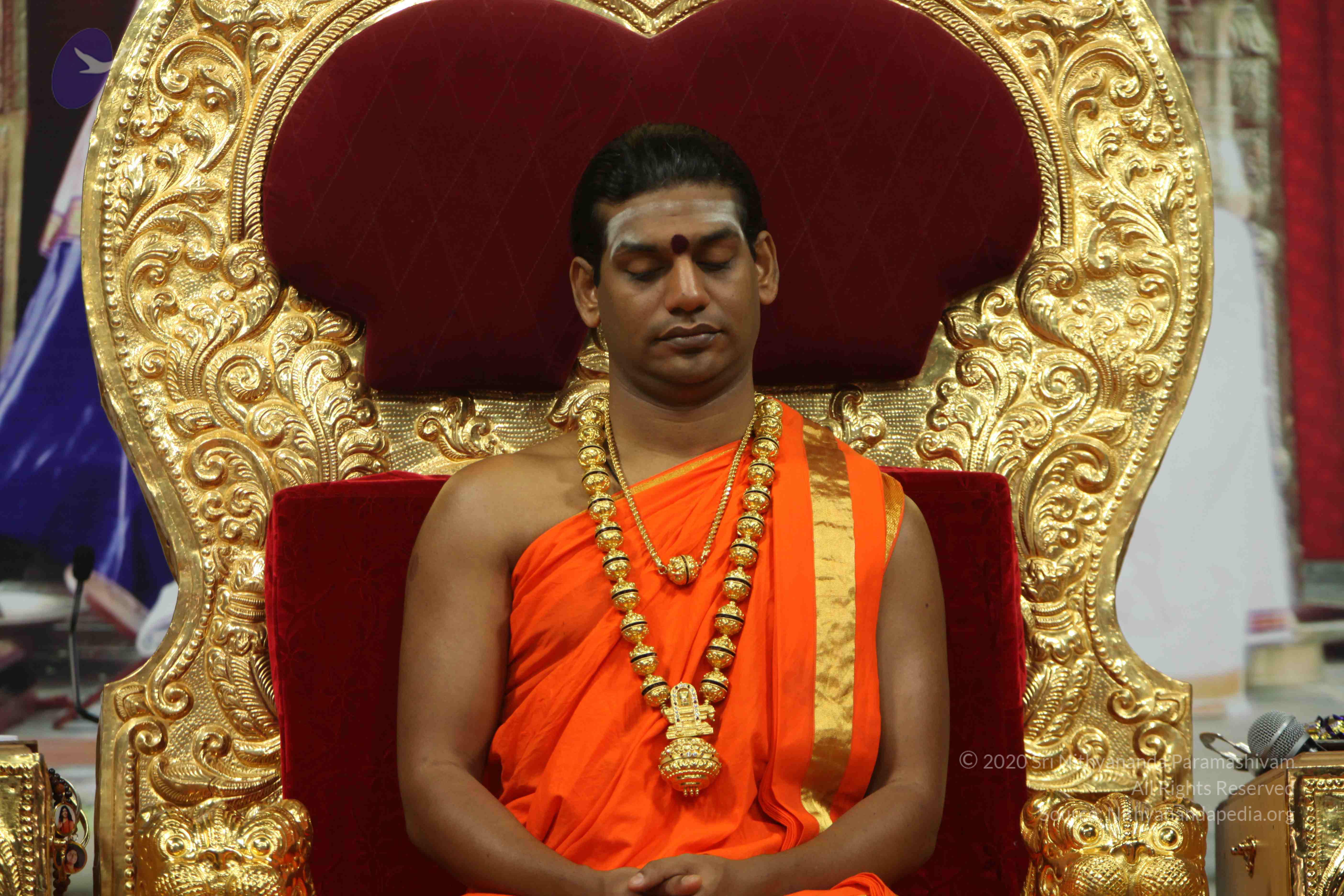 20110225_Photo_1137_IMG_0985_CMP_WM