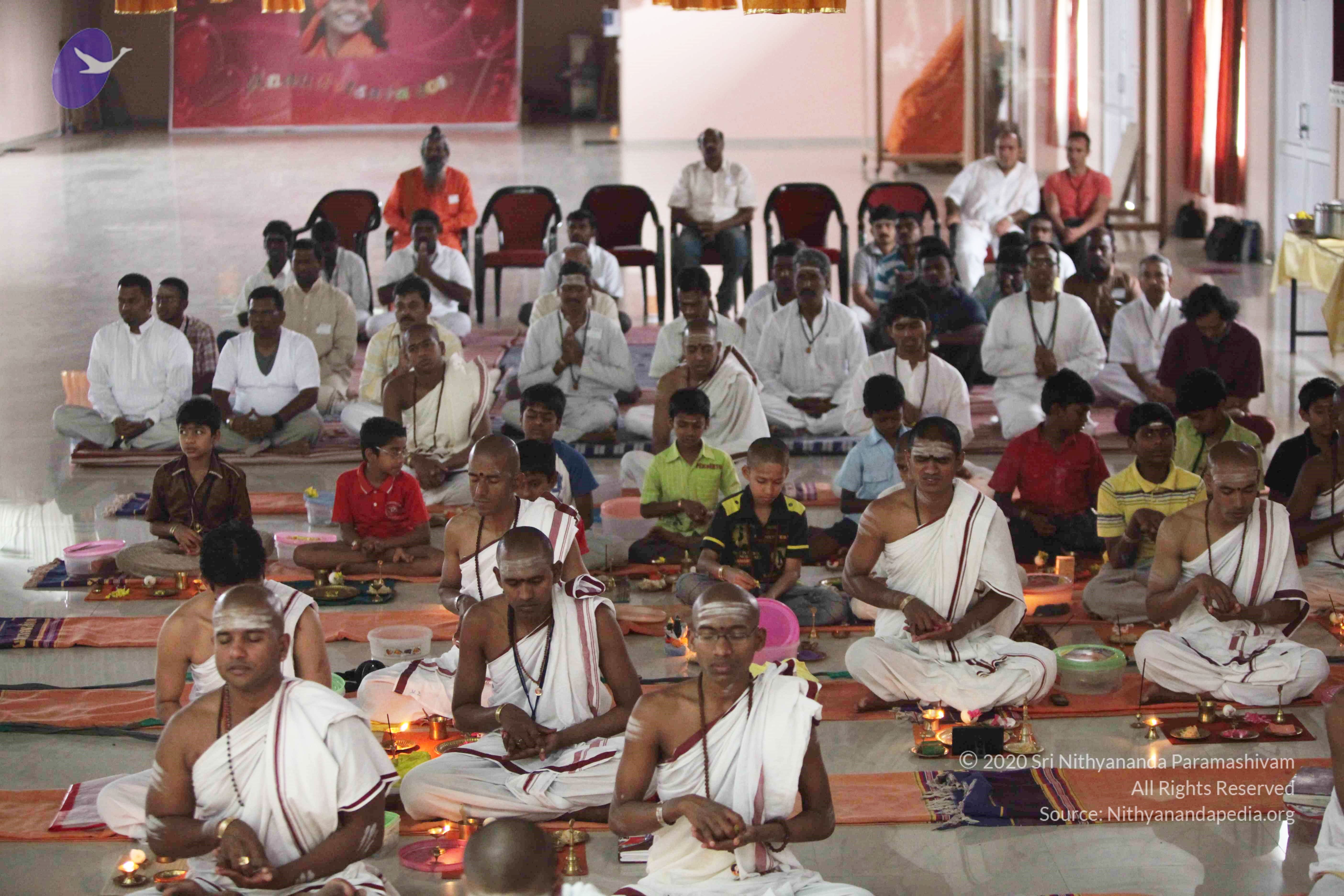 20110225_Photo_1139_IMG_0918_CMP_WM