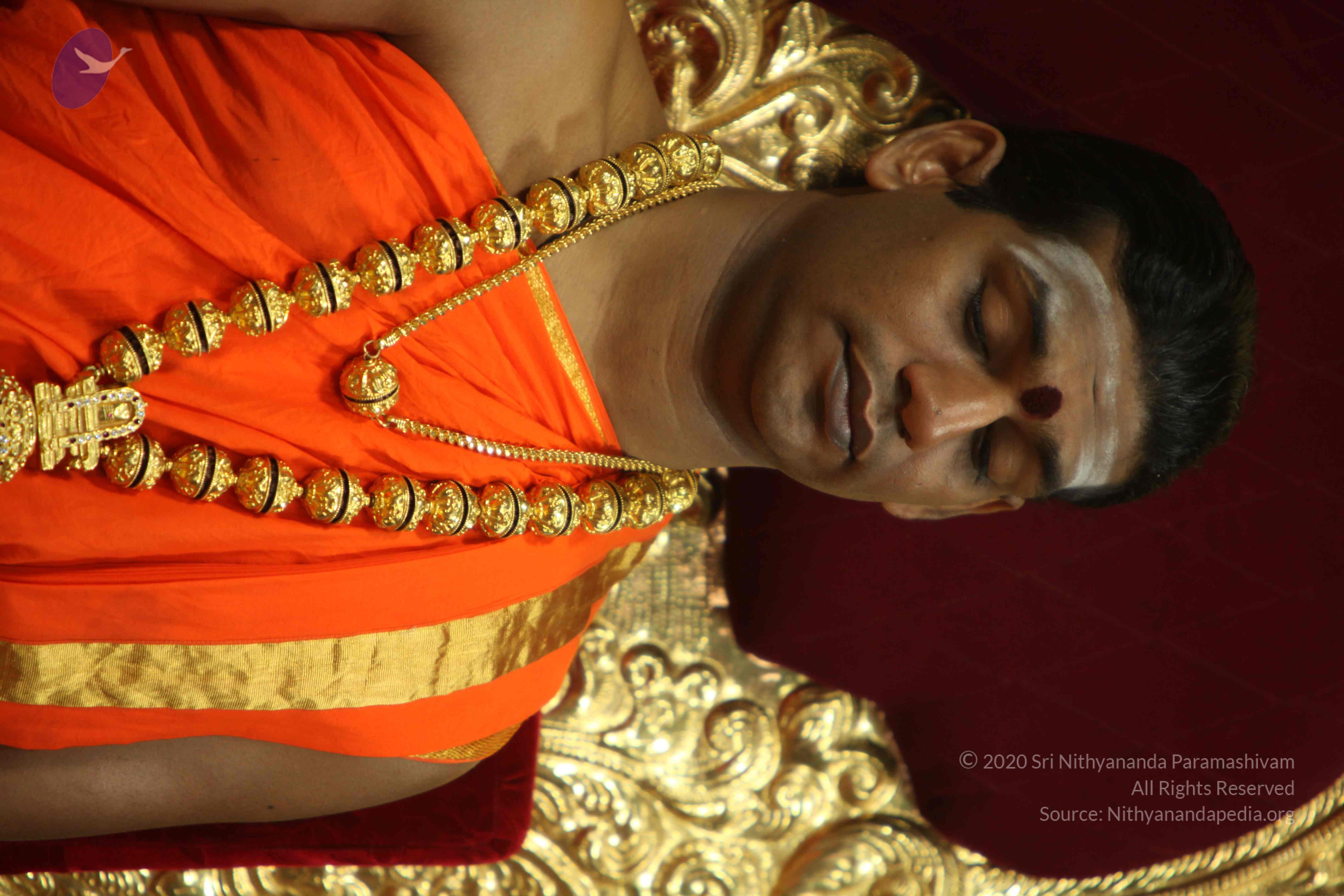 20110225_Photo_1143_IMG_0994_CMP_WM