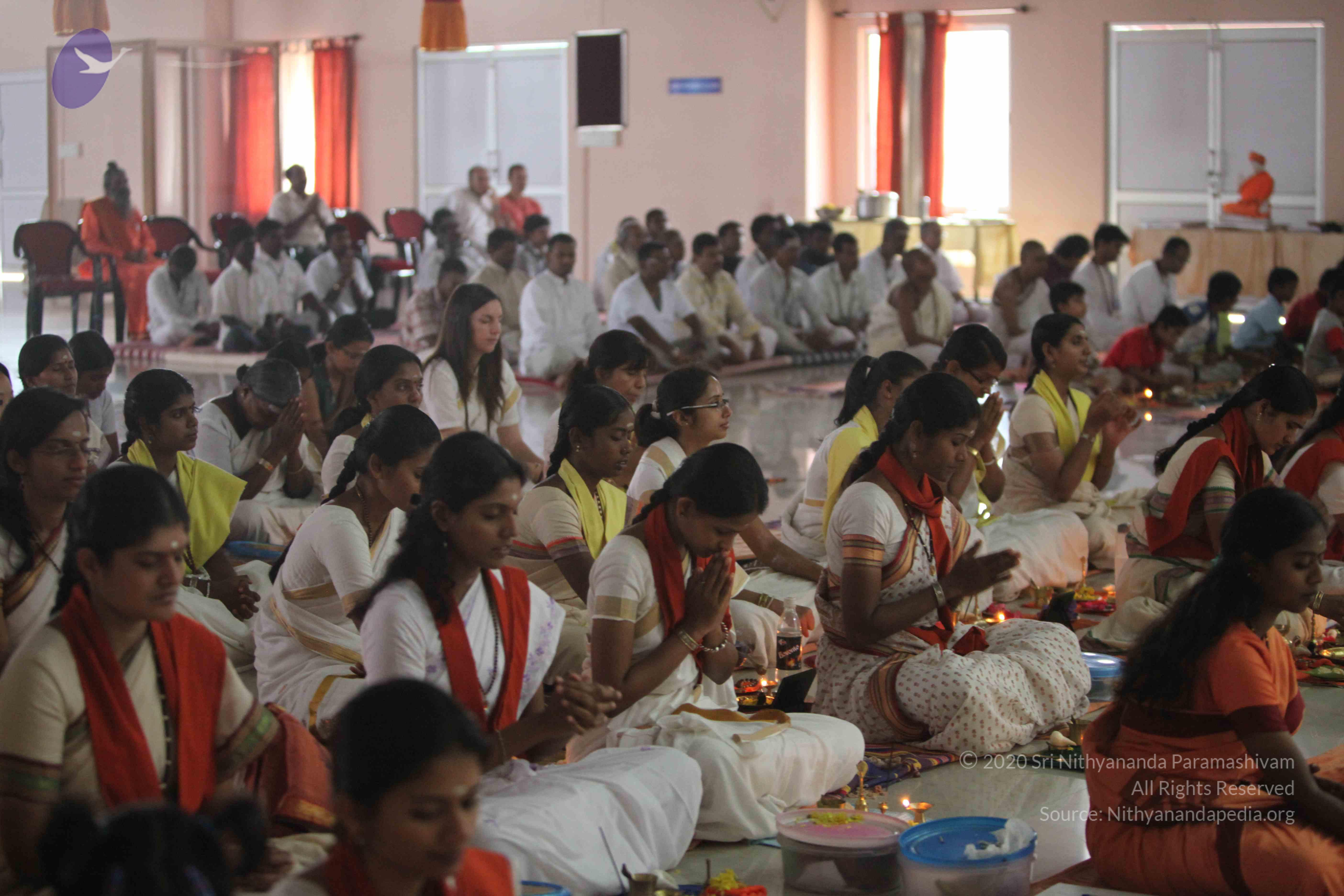 20110225_Photo_1155_IMG_0970_CMP_WM