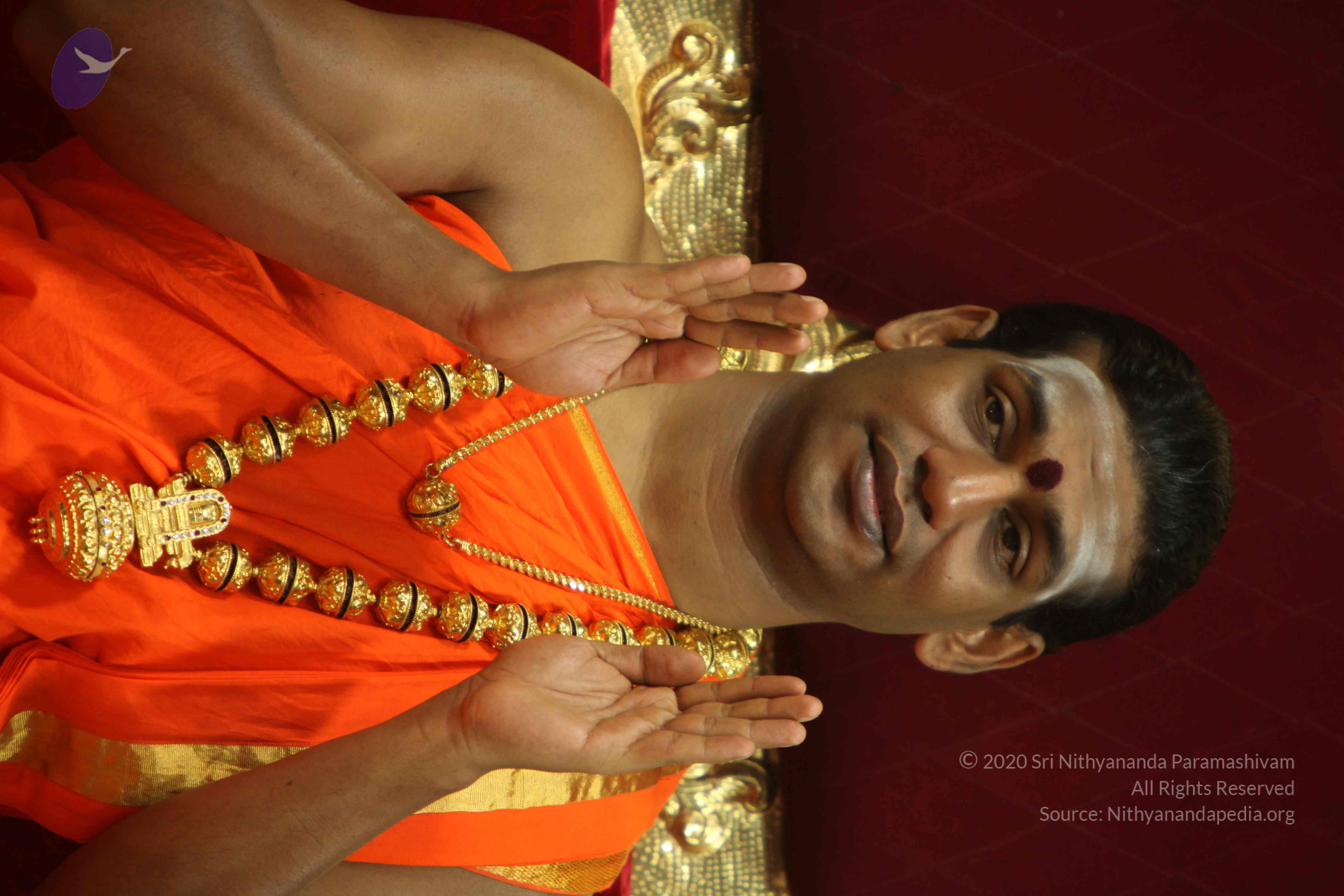 20110225_Photo_1159_IMG_1063_CMP_WM