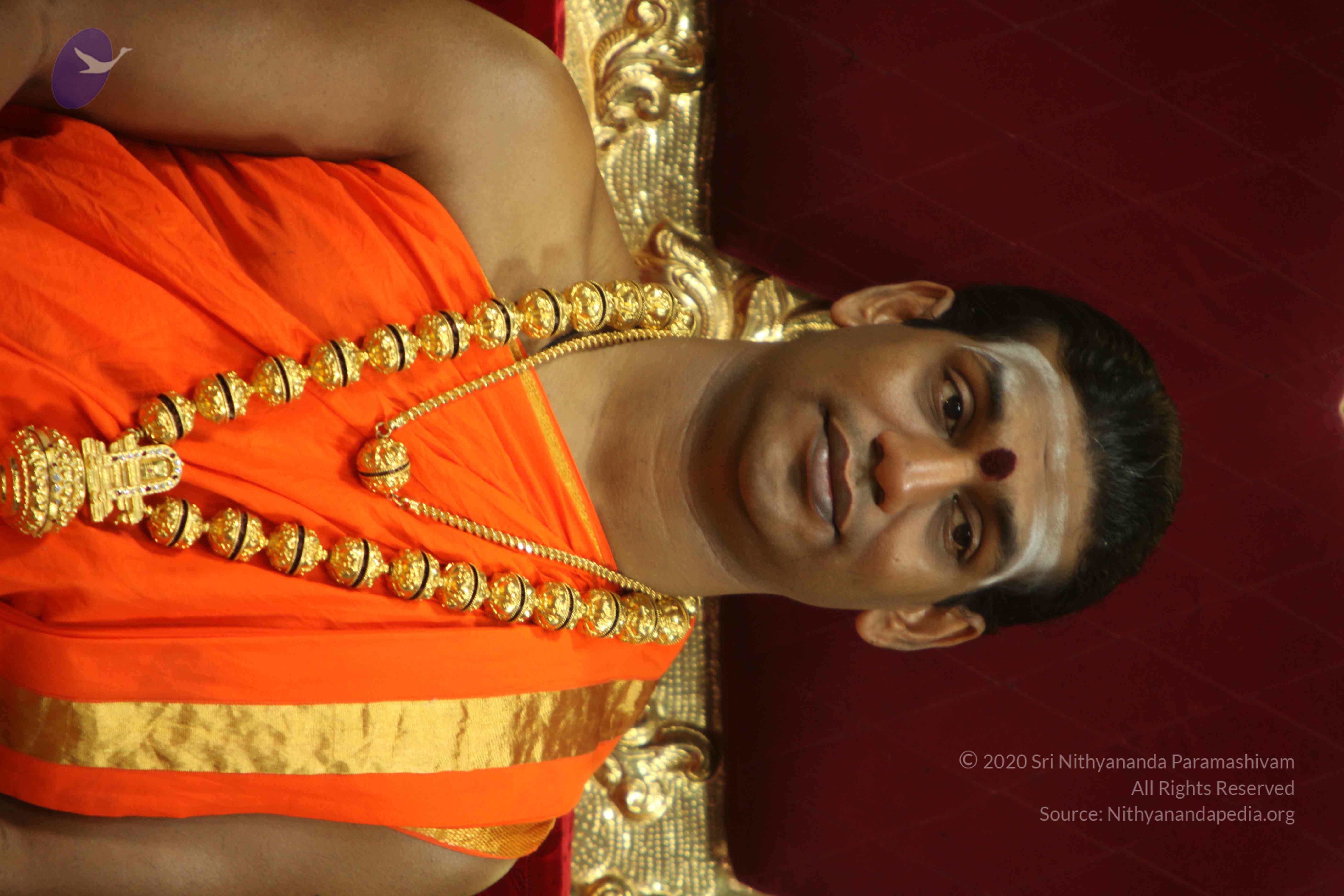 20110225_Photo_1162_IMG_1036_CMP_WM