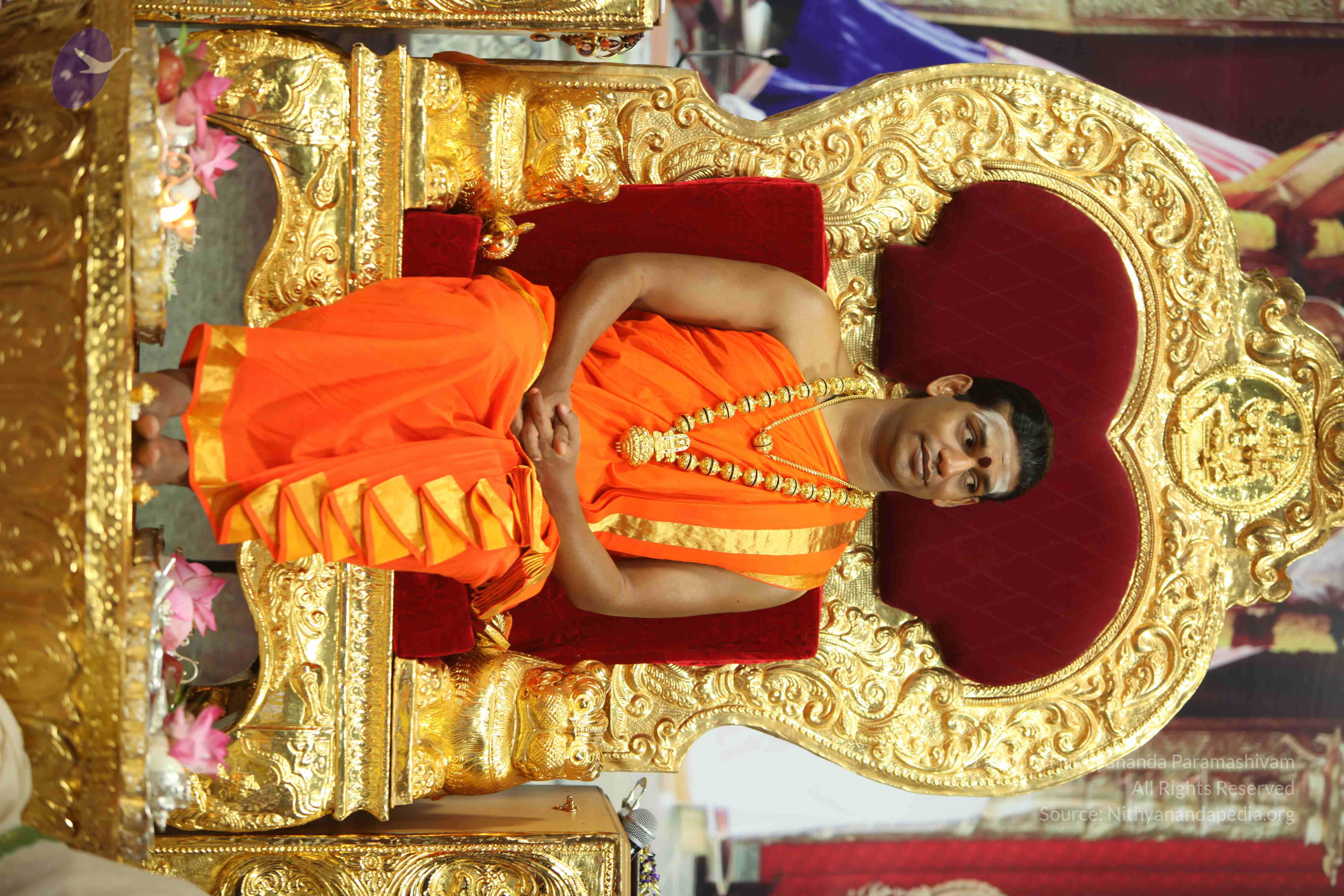 20110225_Photo_1164_IMG_0878_CMP_WM