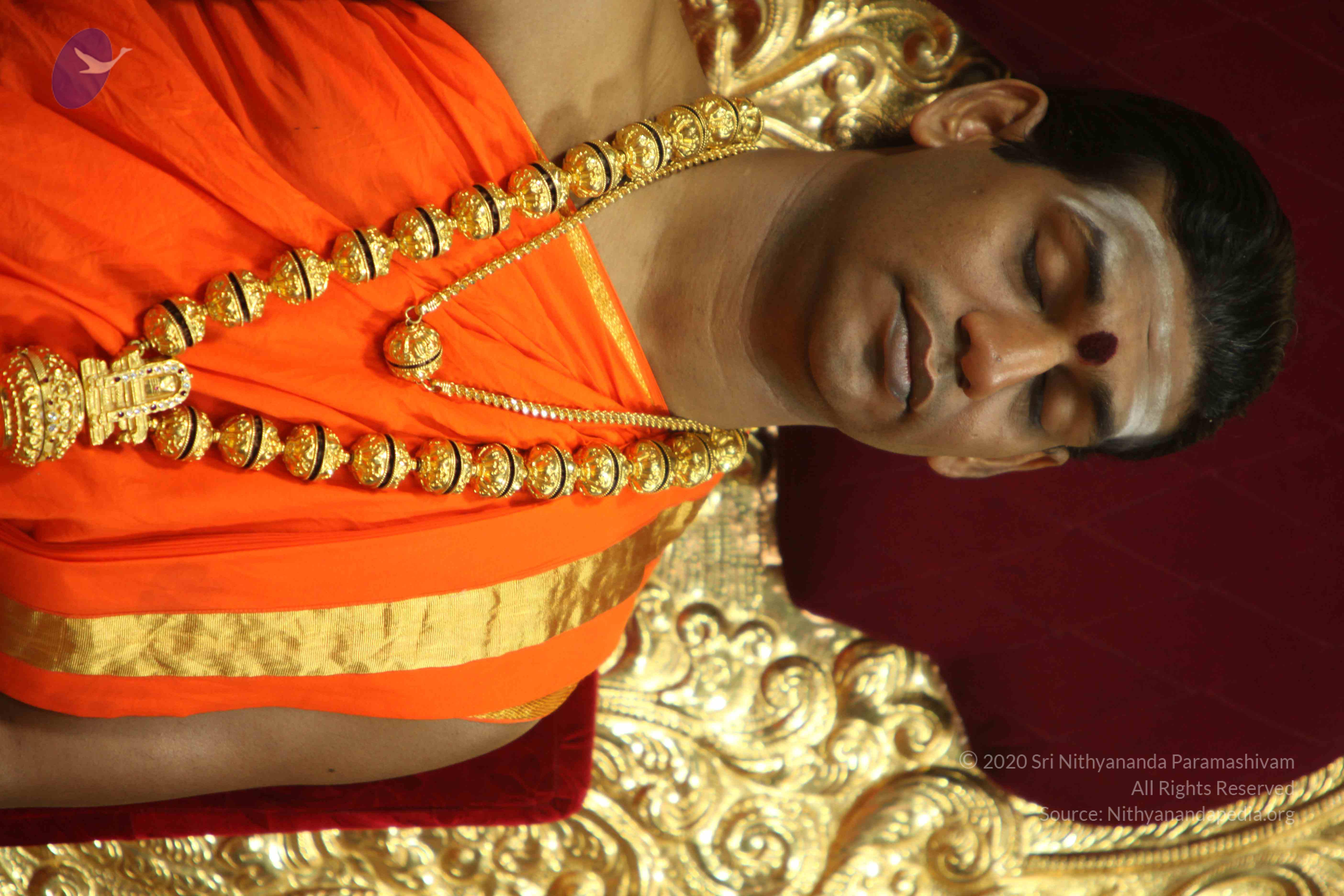 20110225_Photo_1167_IMG_1027_CMP_WM