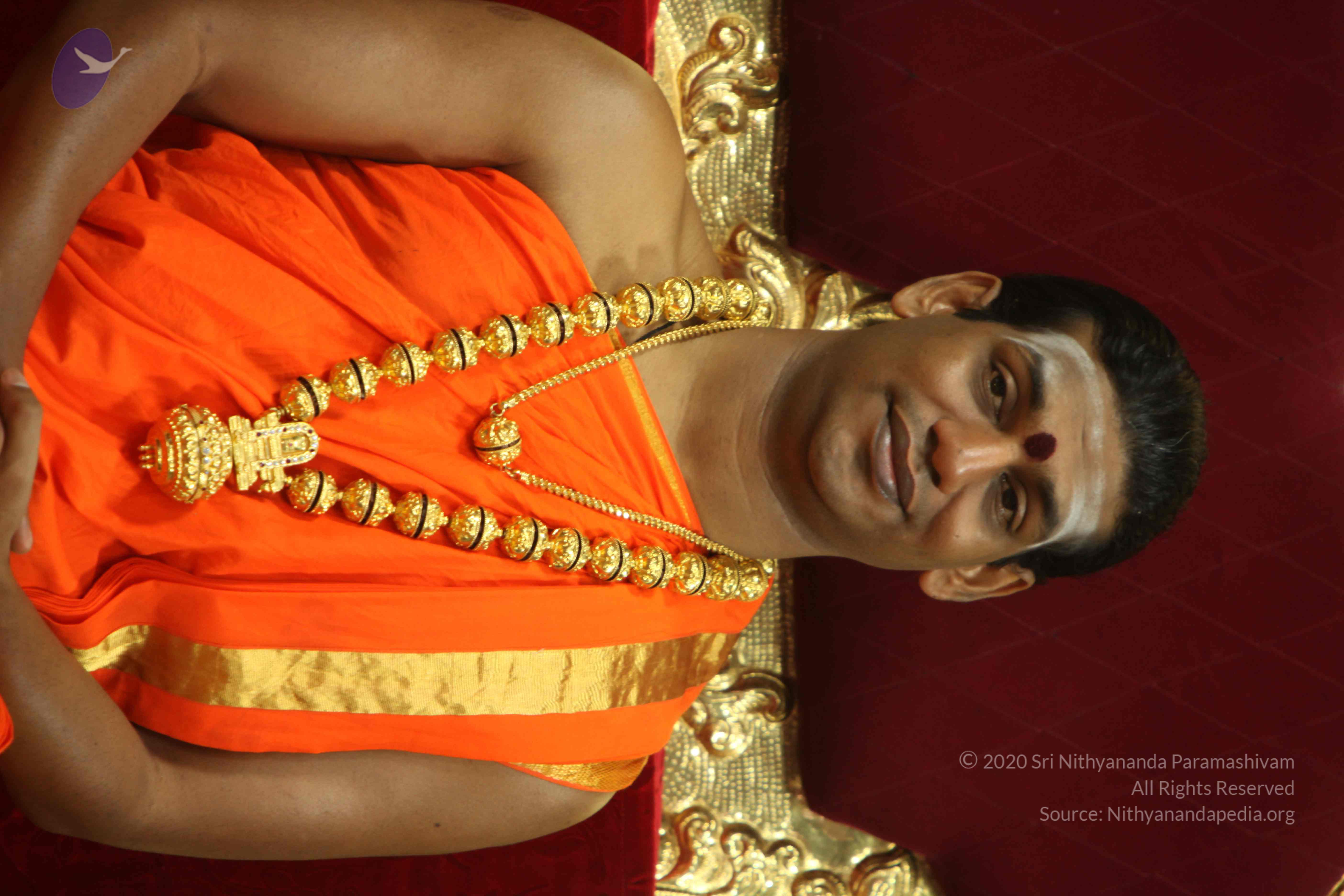 20110225_Photo_1168_IMG_1010_CMP_WM