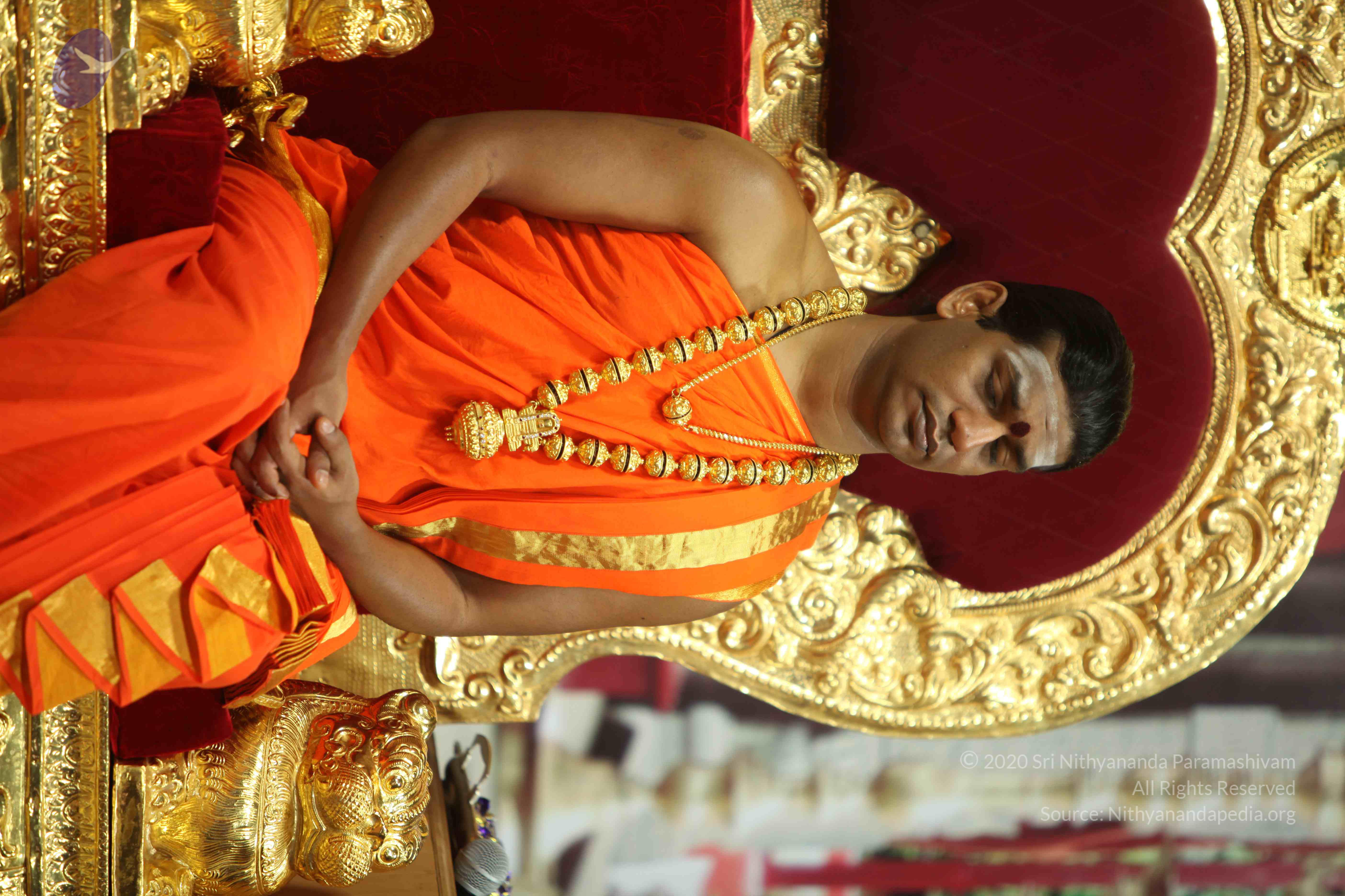 20110225_Photo_1174_IMG_0934_CMP_WM