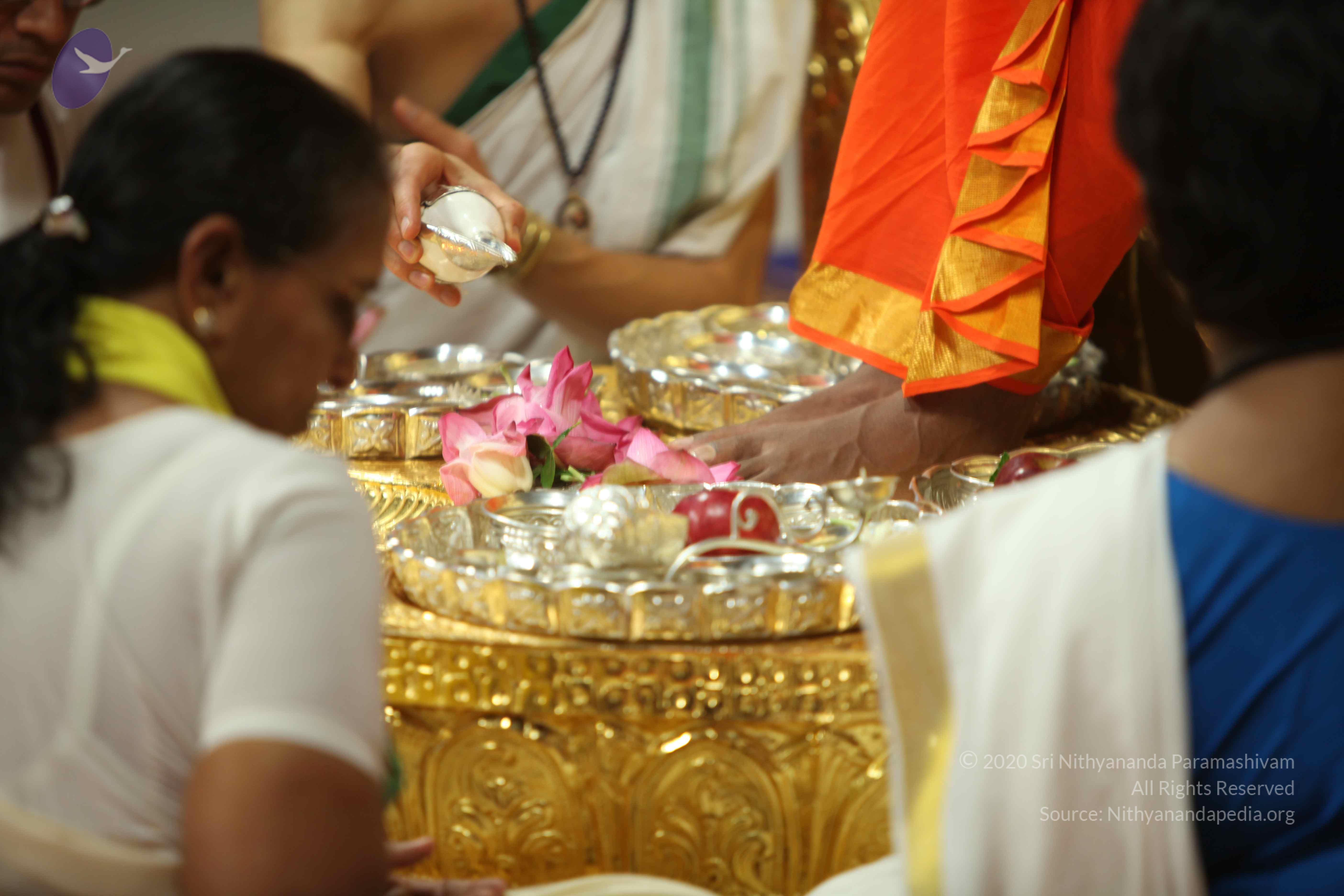 20110225_Photo_1182_IMG_0964_CMP_WM