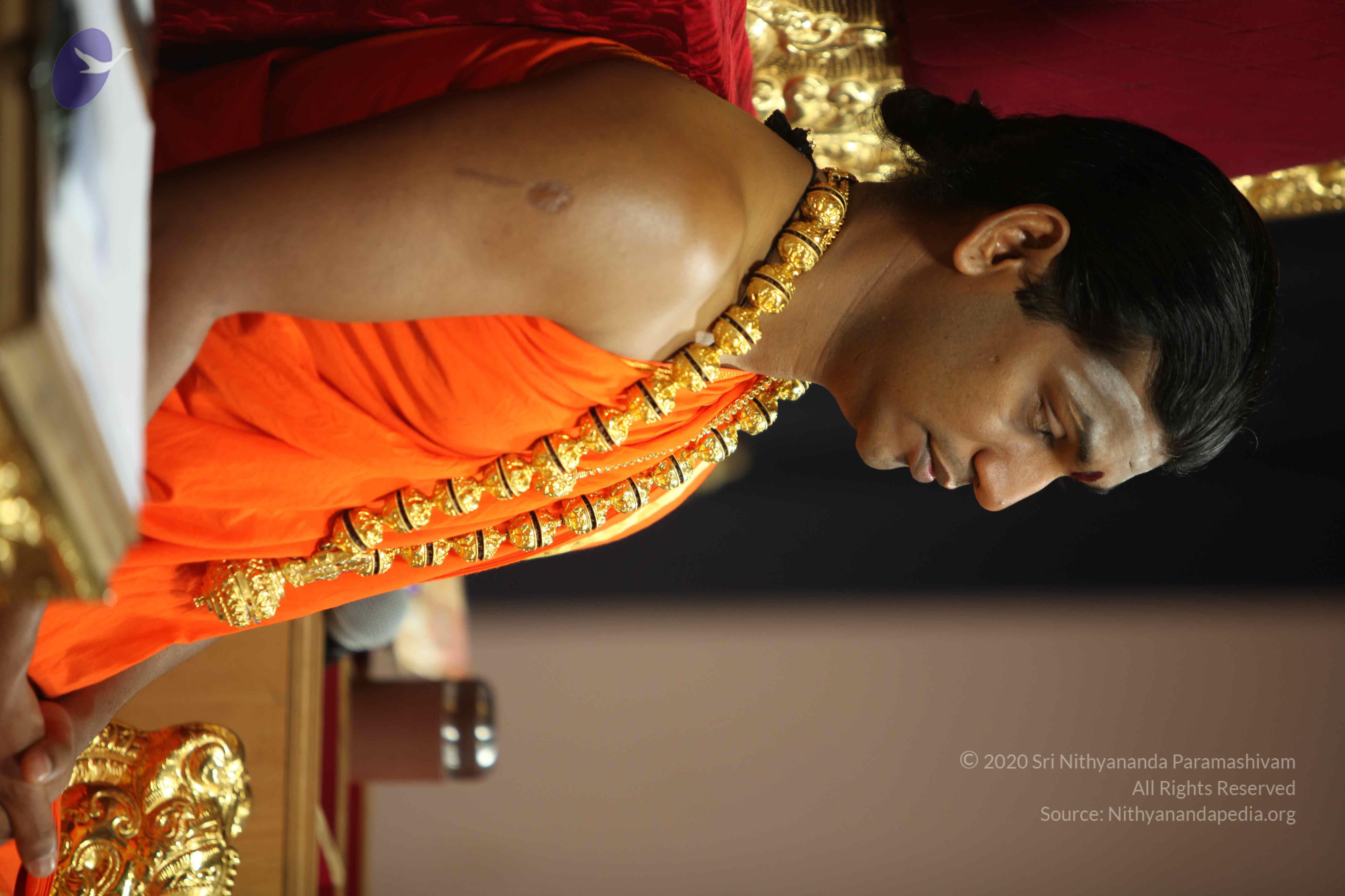 20110225_Photo_1188_IMG_0917_CMP_WM