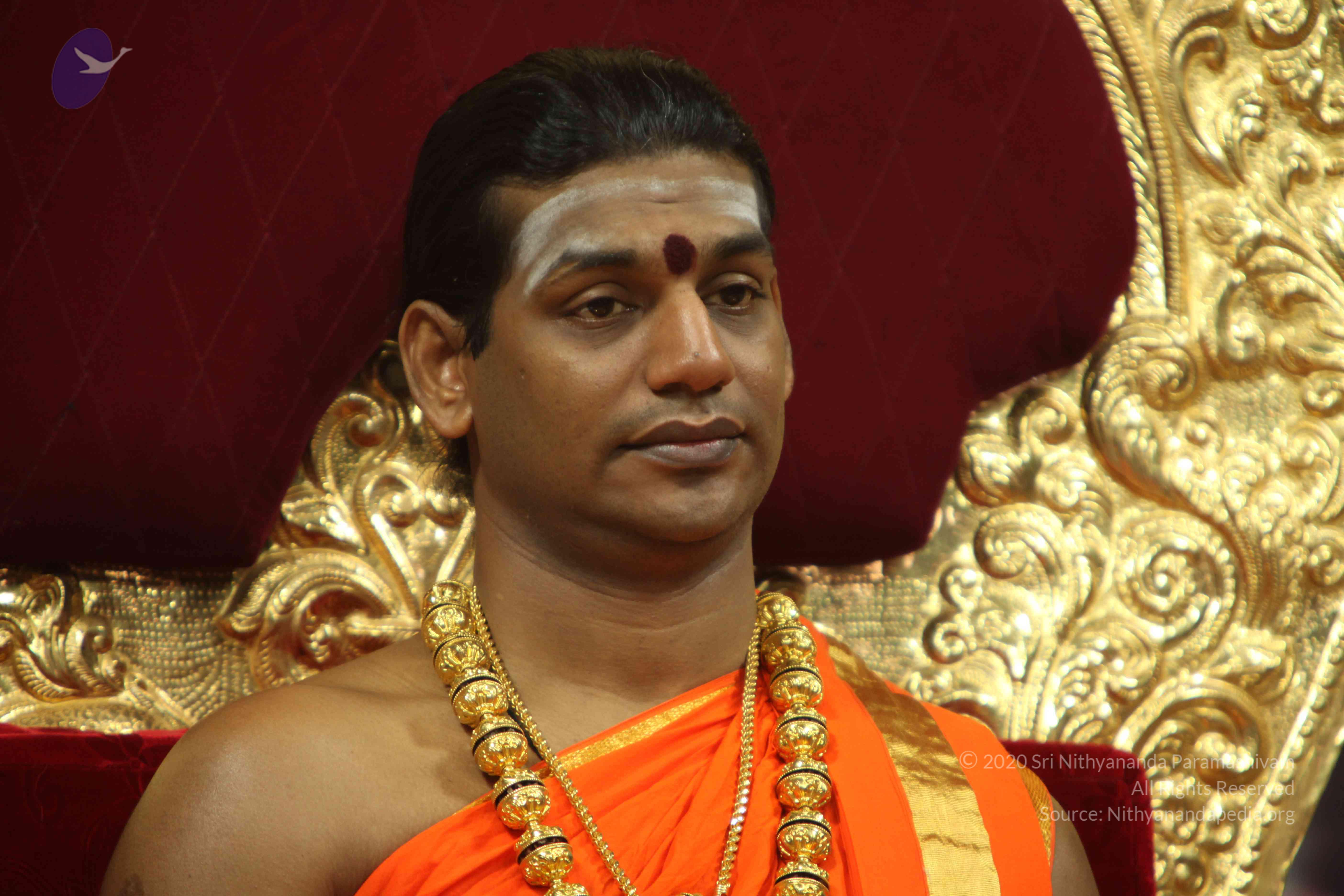 20110225_Photo_1193_IMG_1018_CMP_WM