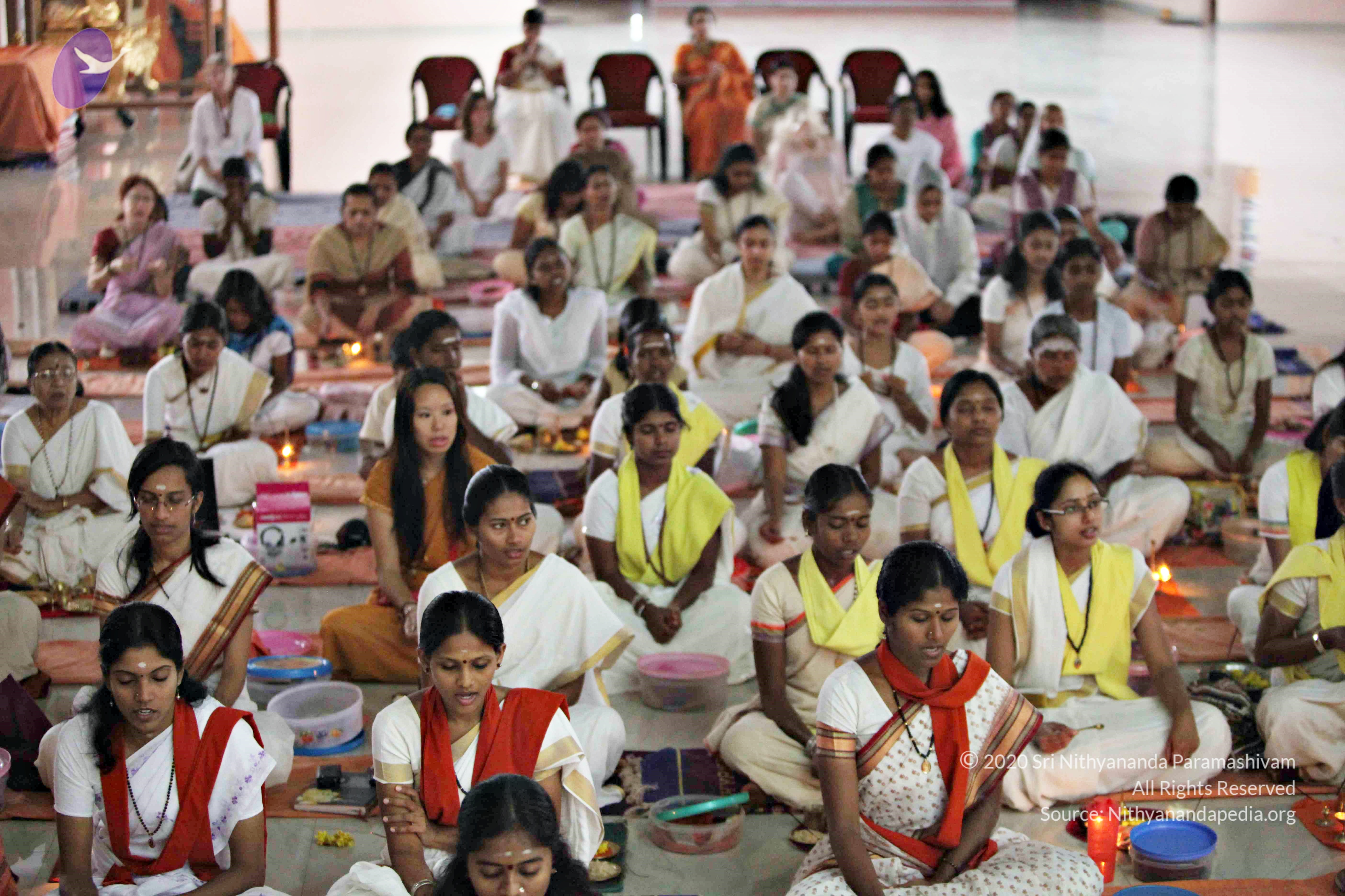 20110225_Photo_1194_IMG_0969_CMP_WM