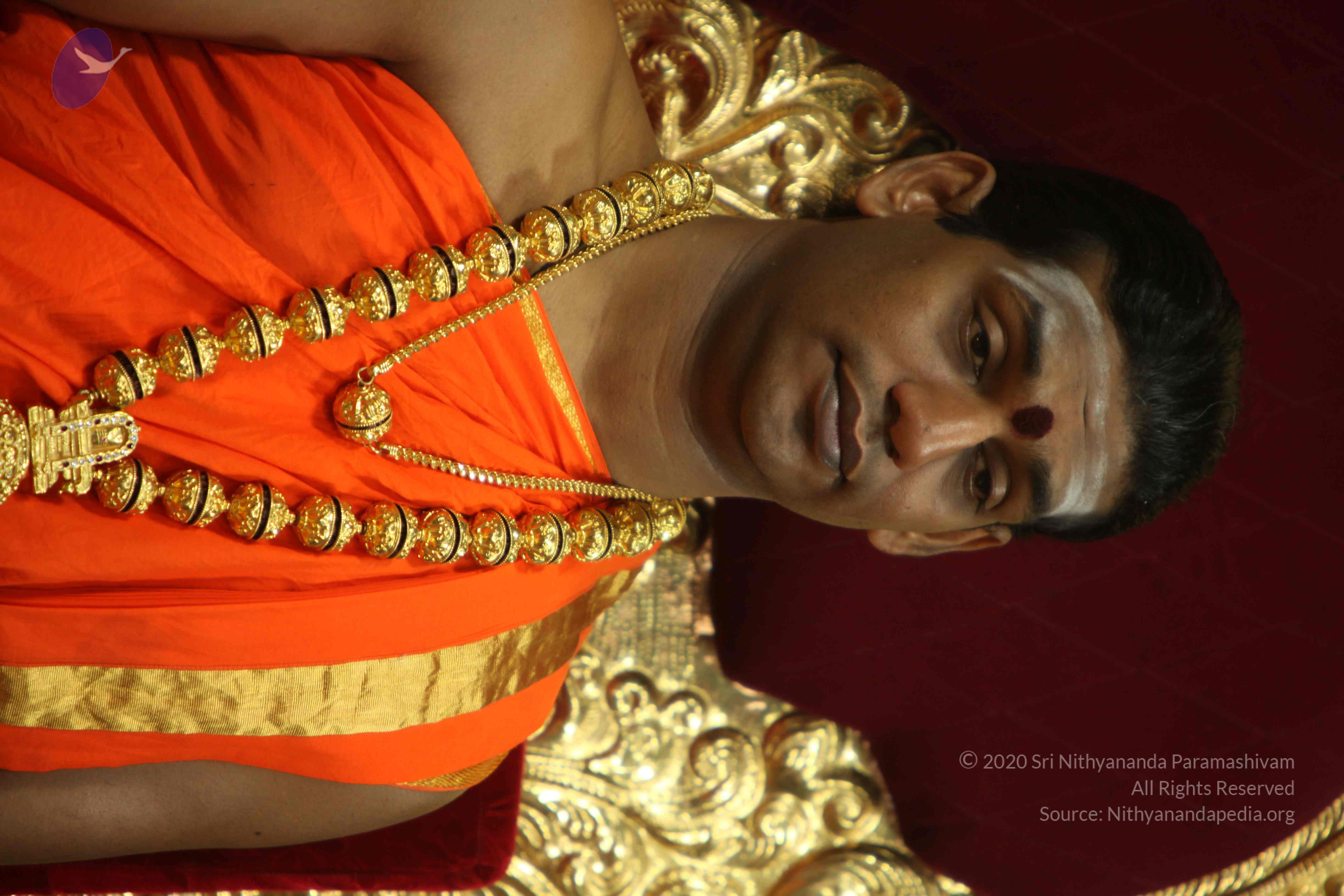 20110225_Photo_1197_IMG_0996_CMP_WM