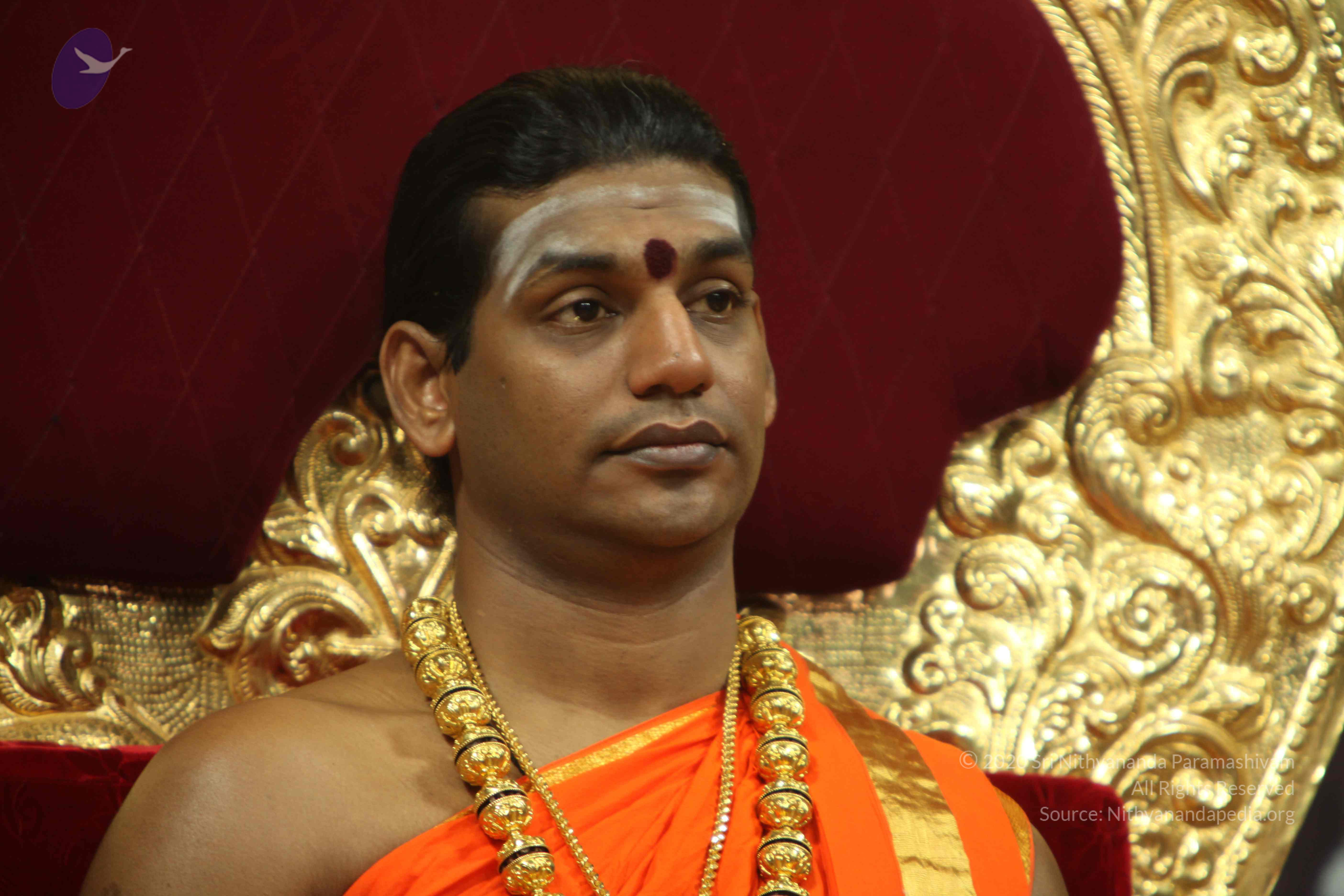 20110225_Photo_1200_IMG_1004_CMP_WM