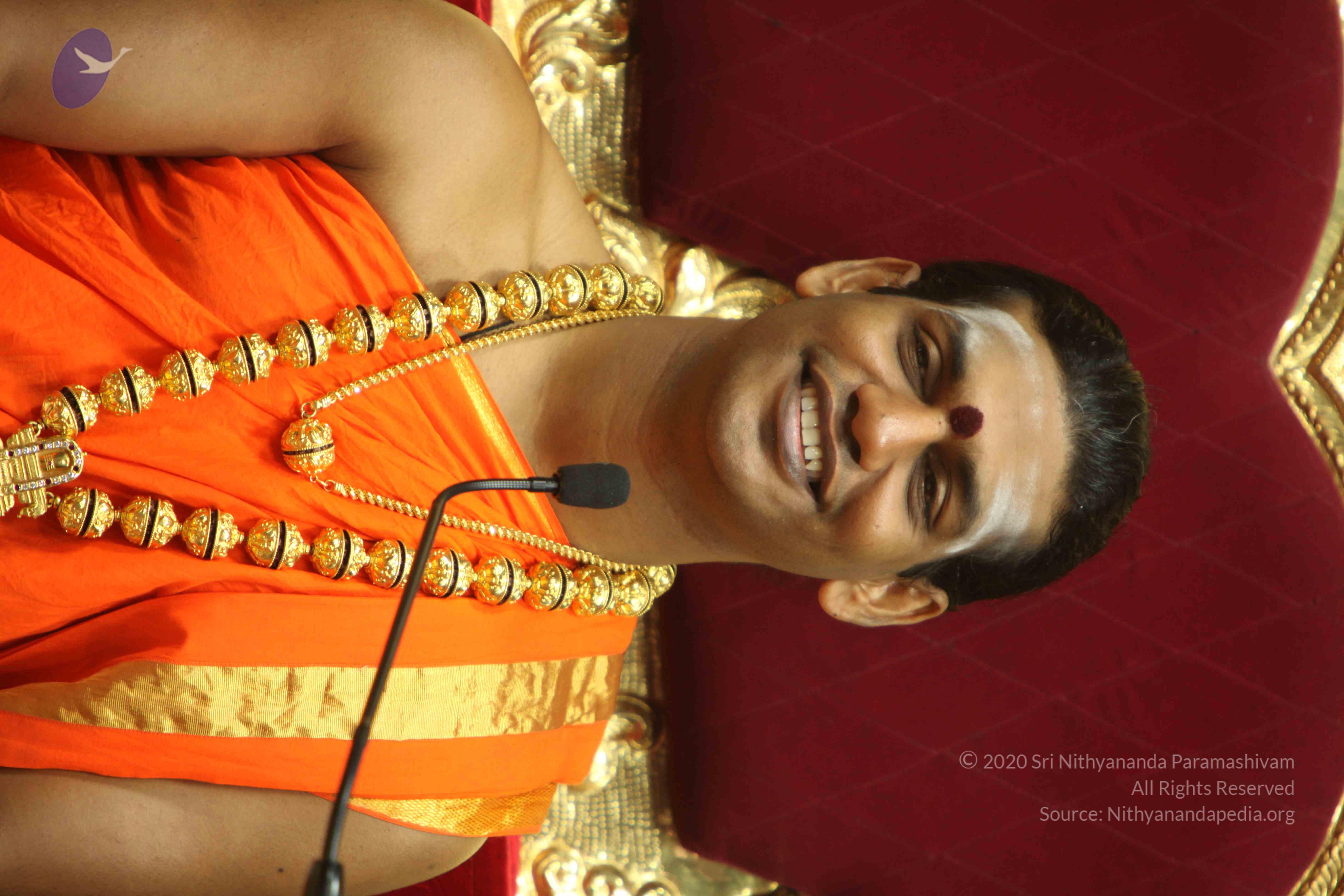 20110225_Photo_1001_IMG_1183_CMP_WM