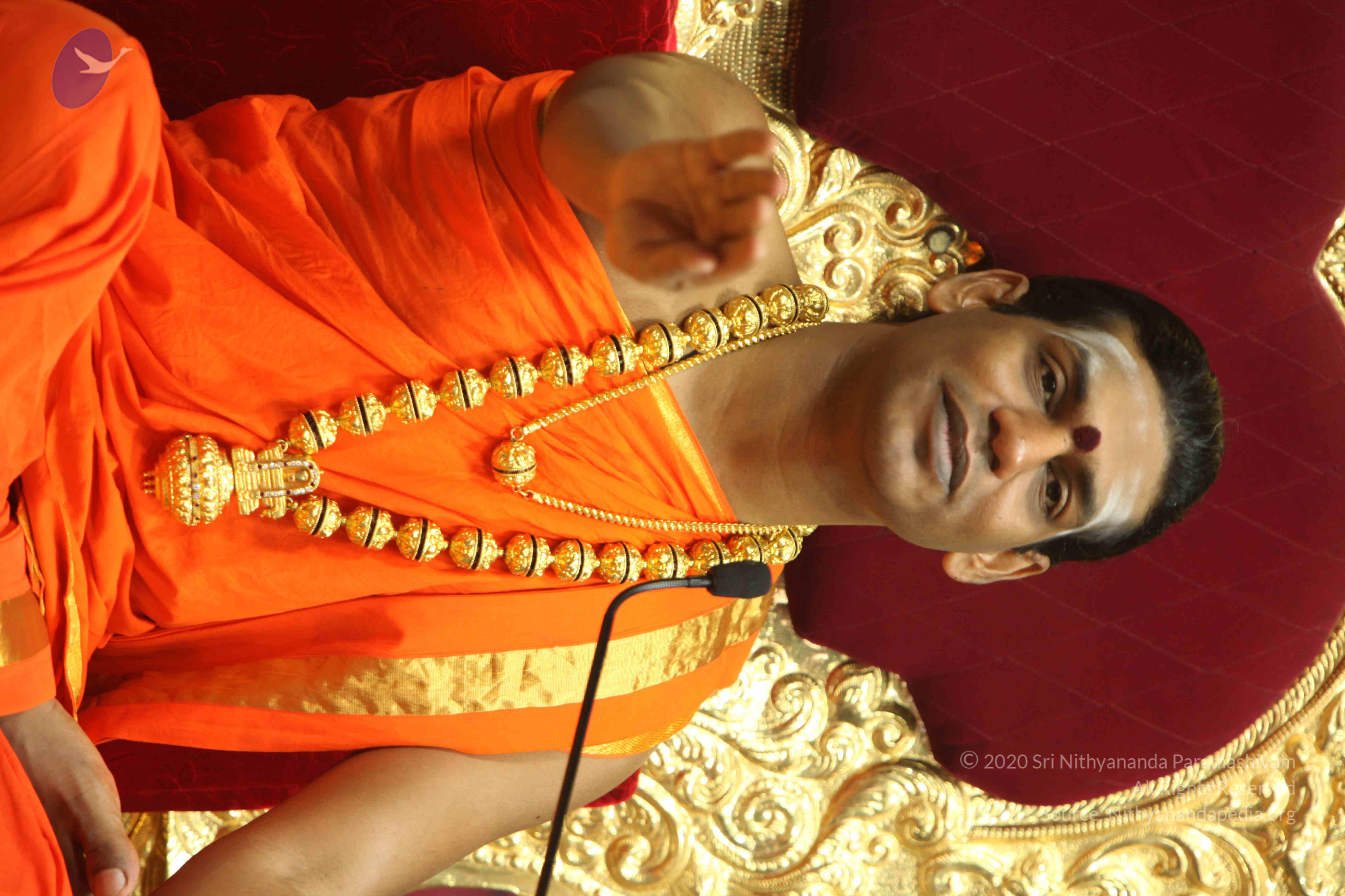 20110225_Photo_1009_IMG_1336_CMP_WM