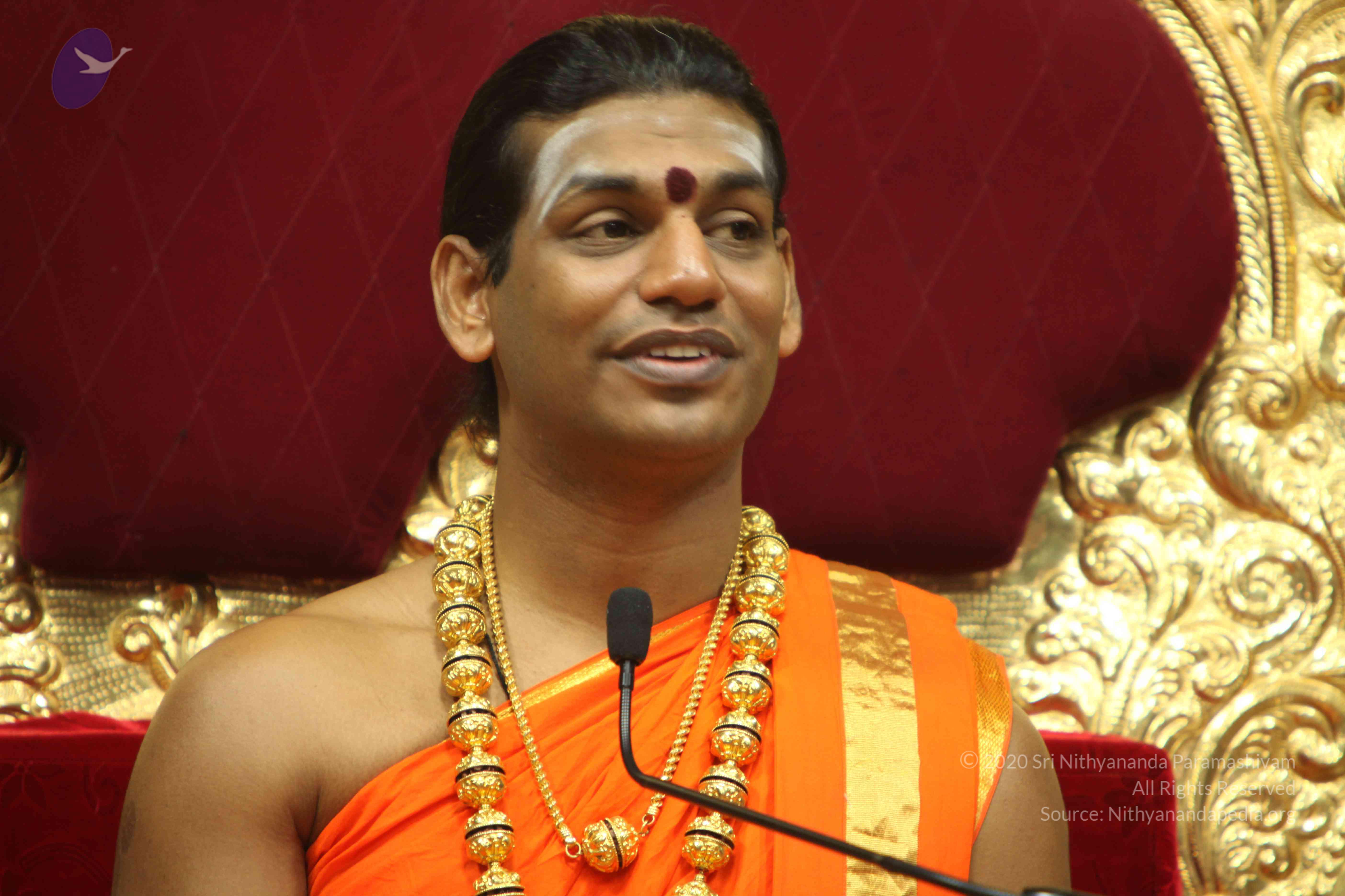 20110225_Photo_1010_IMG_1454_CMP_WM