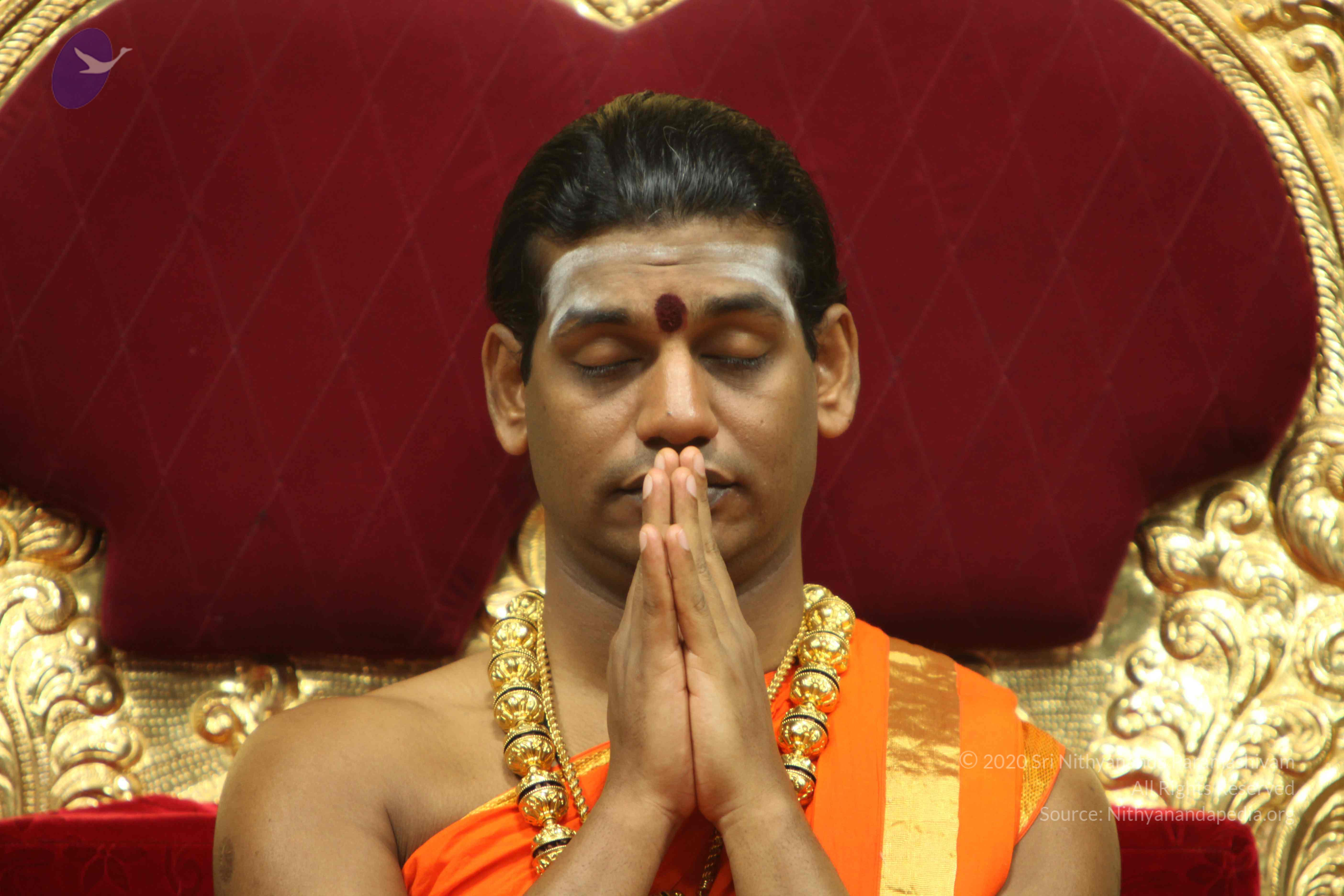 20110225_Photo_1052_IMG_1083_CMP_WM