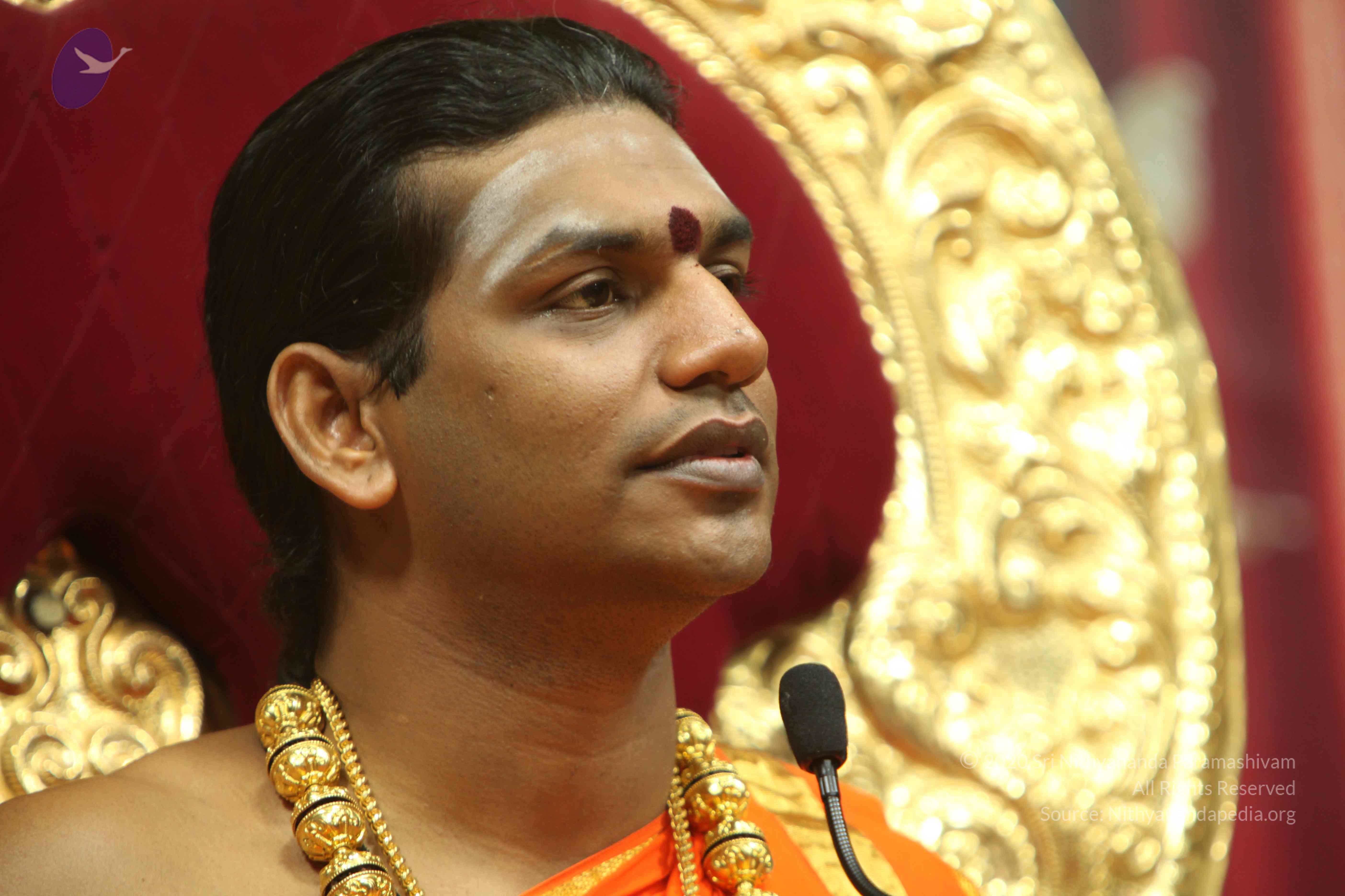 20110225_Photo_1060_IMG_1377_CMP_WM