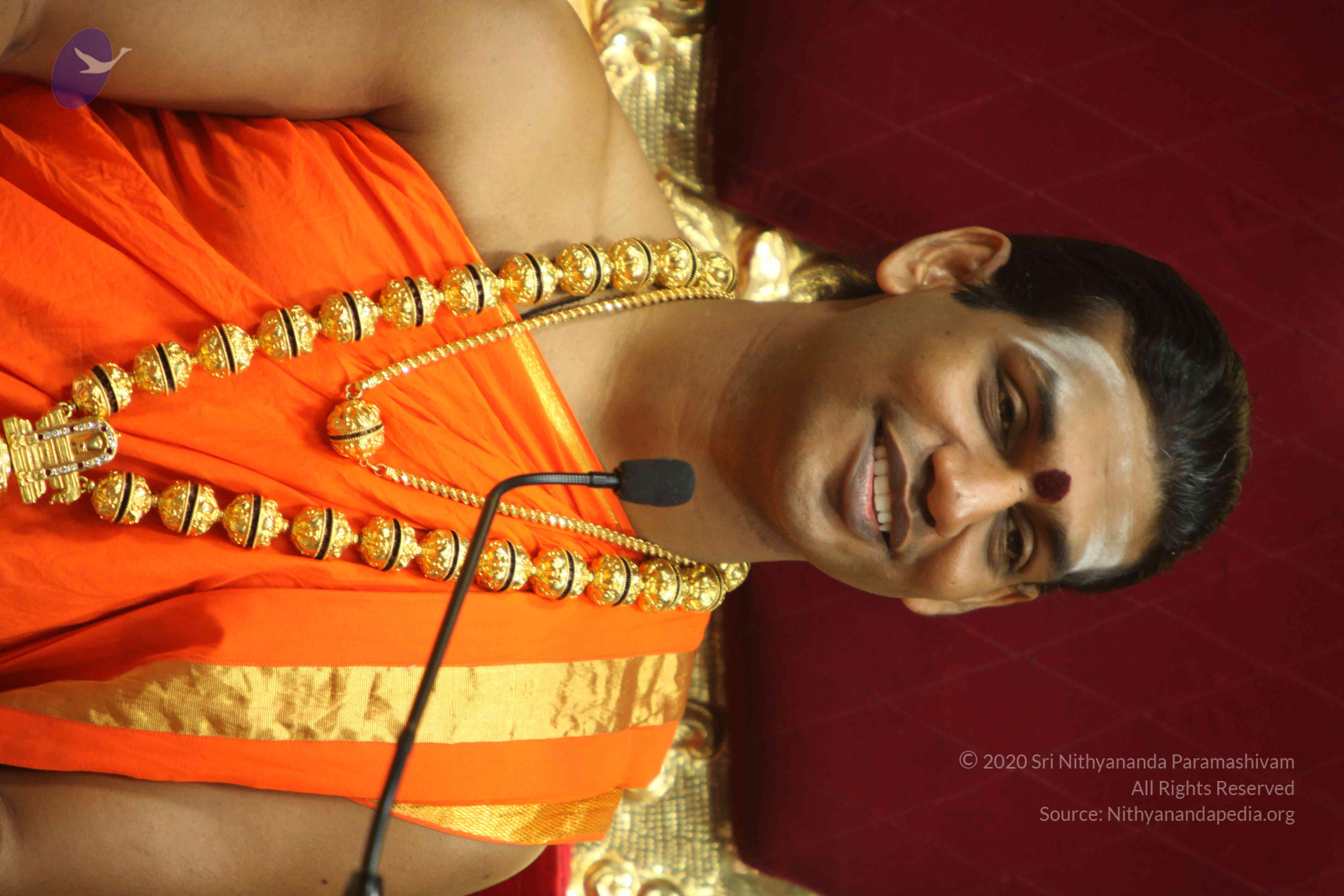 20110225_Photo_1071_IMG_1227_CMP_WM