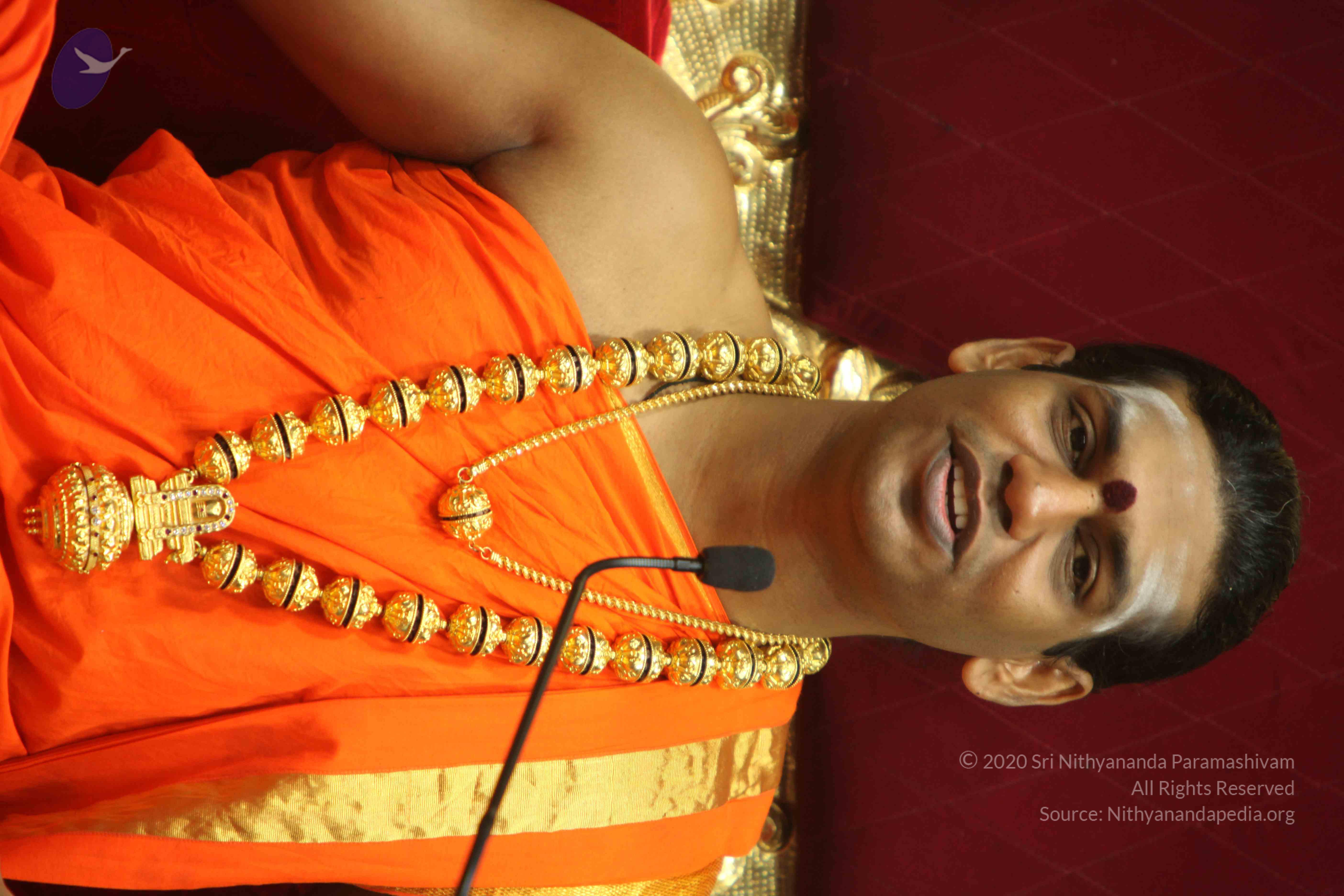 20110225_Photo_1082_IMG_1418_CMP_WM