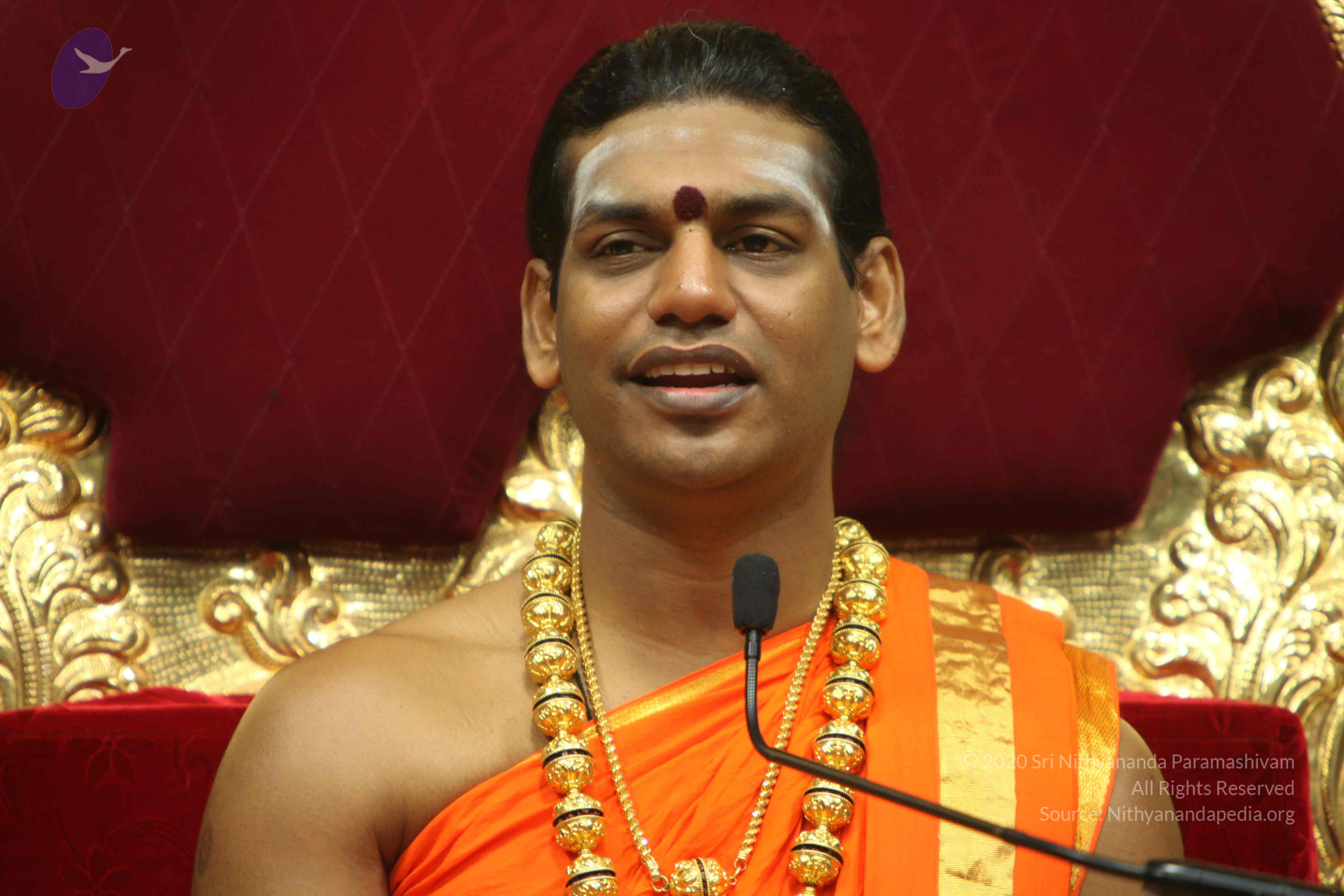 20110225_Photo_1085_IMG_1165_CMP_WM