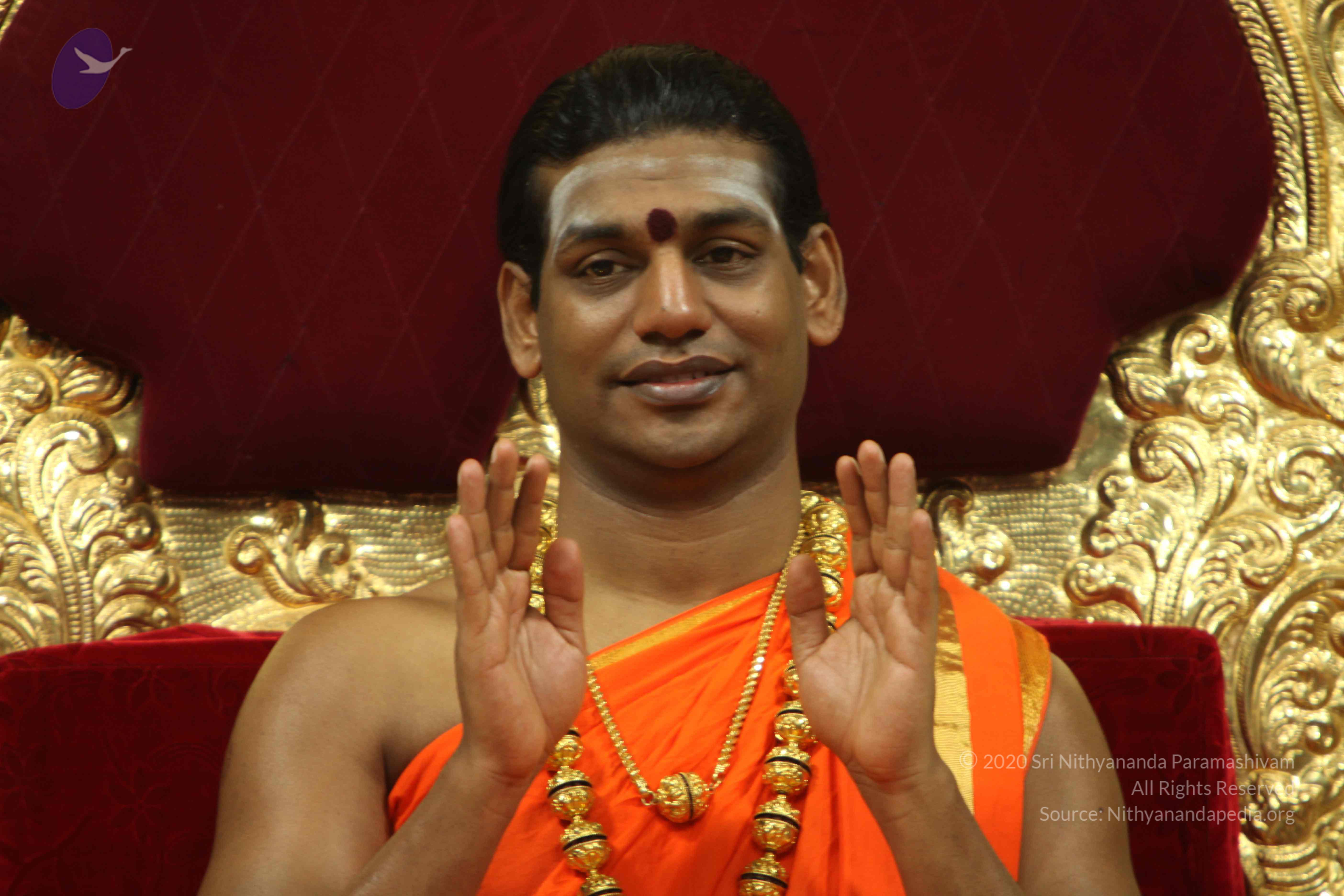 20110225_Photo_1087_IMG_1046_CMP_WM