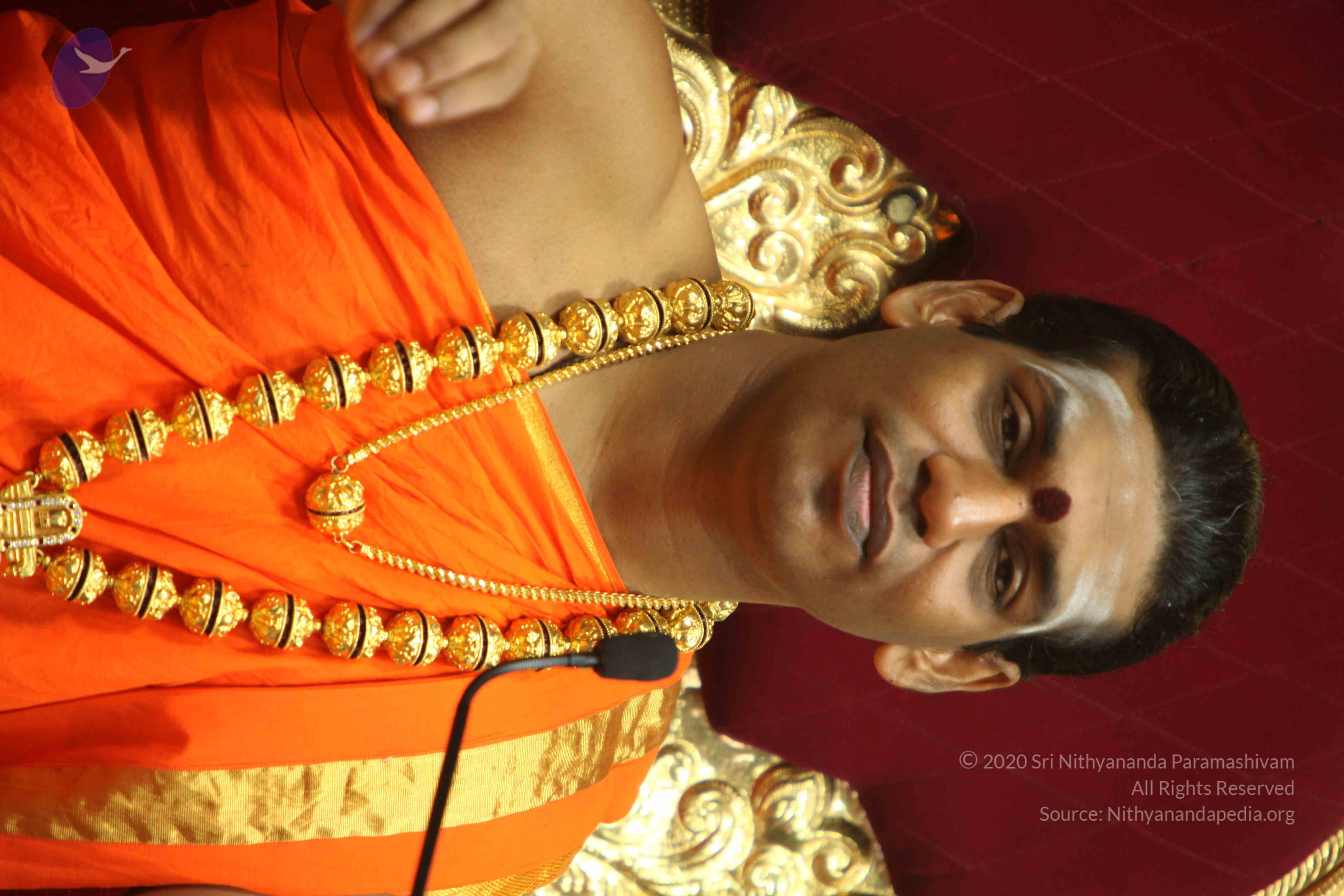 20110225_Photo_1109_IMG_1334_CMP_WM