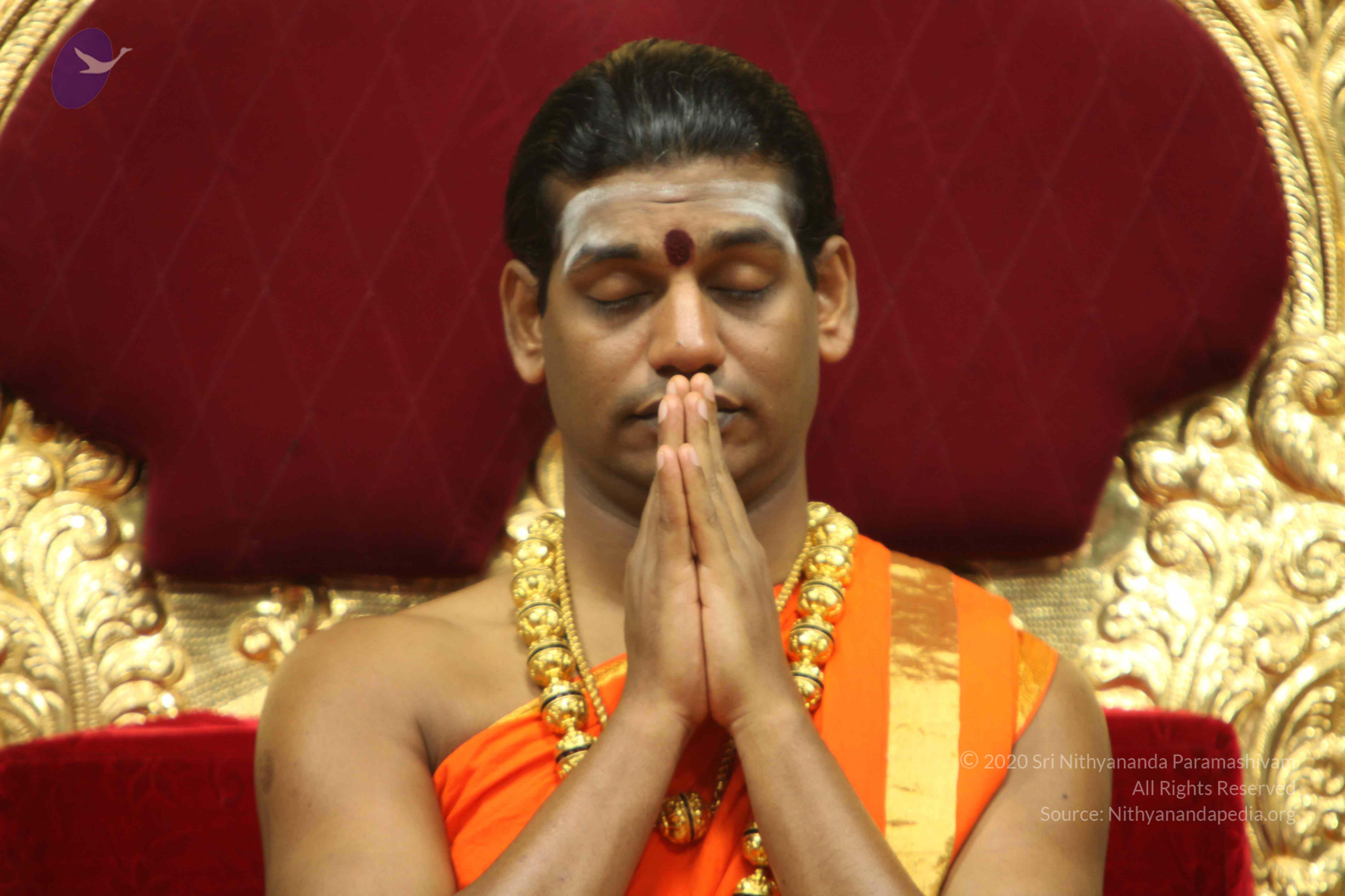 20110225_Photo_1135_IMG_1081_CMP_WM