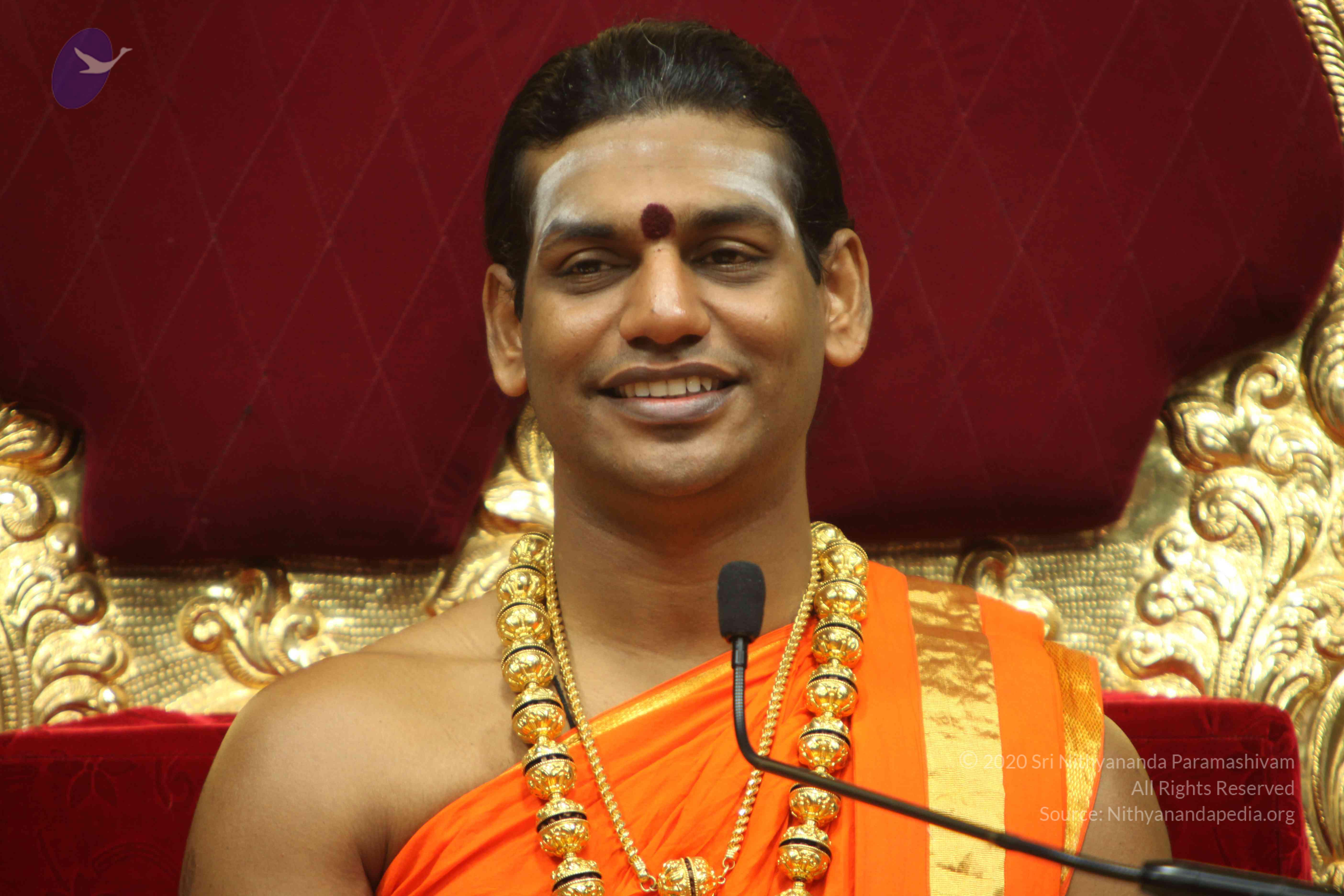 20110225_Photo_1141_IMG_1203_CMP_WM