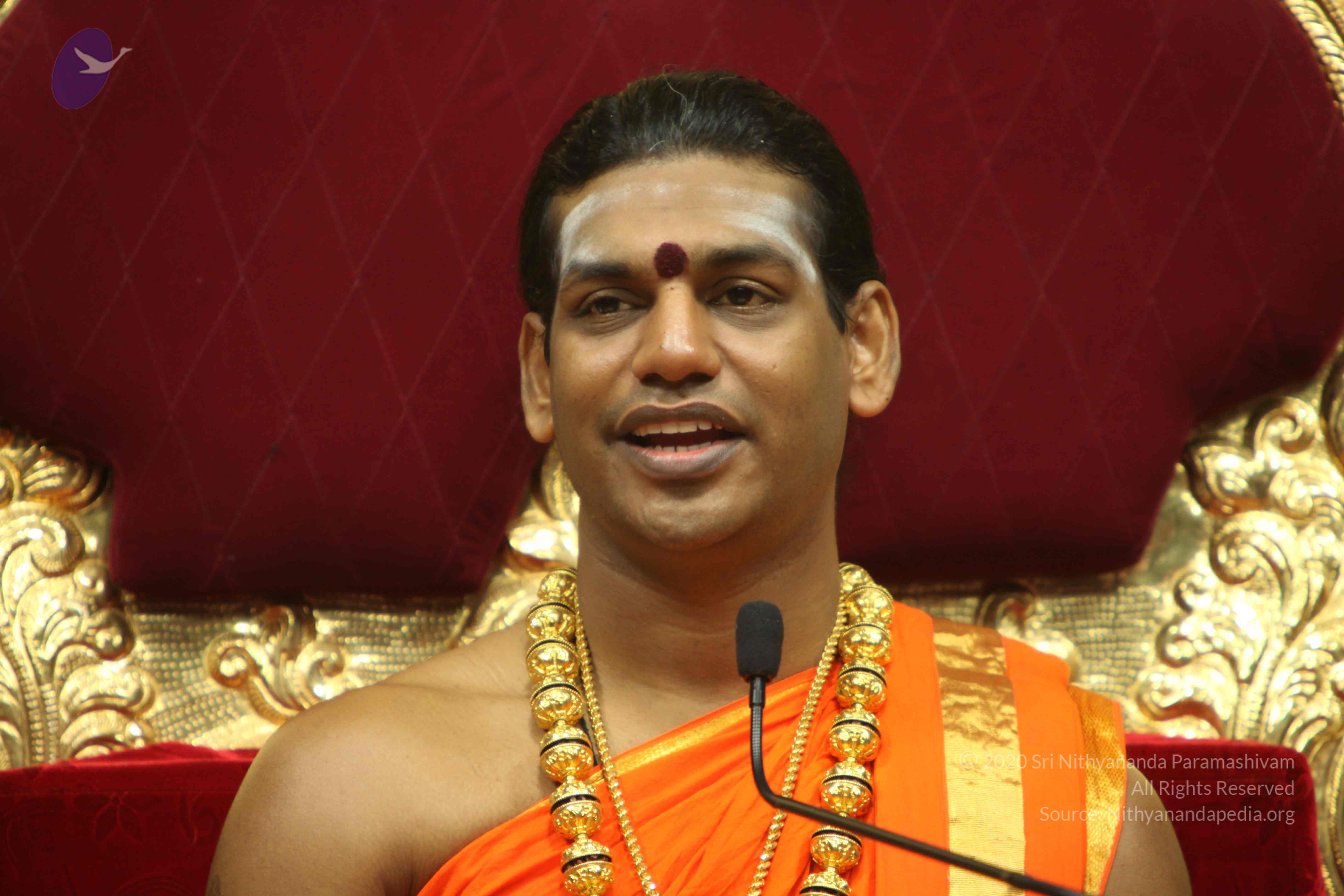 20110225_Photo_1160_IMG_1167_CMP_WM