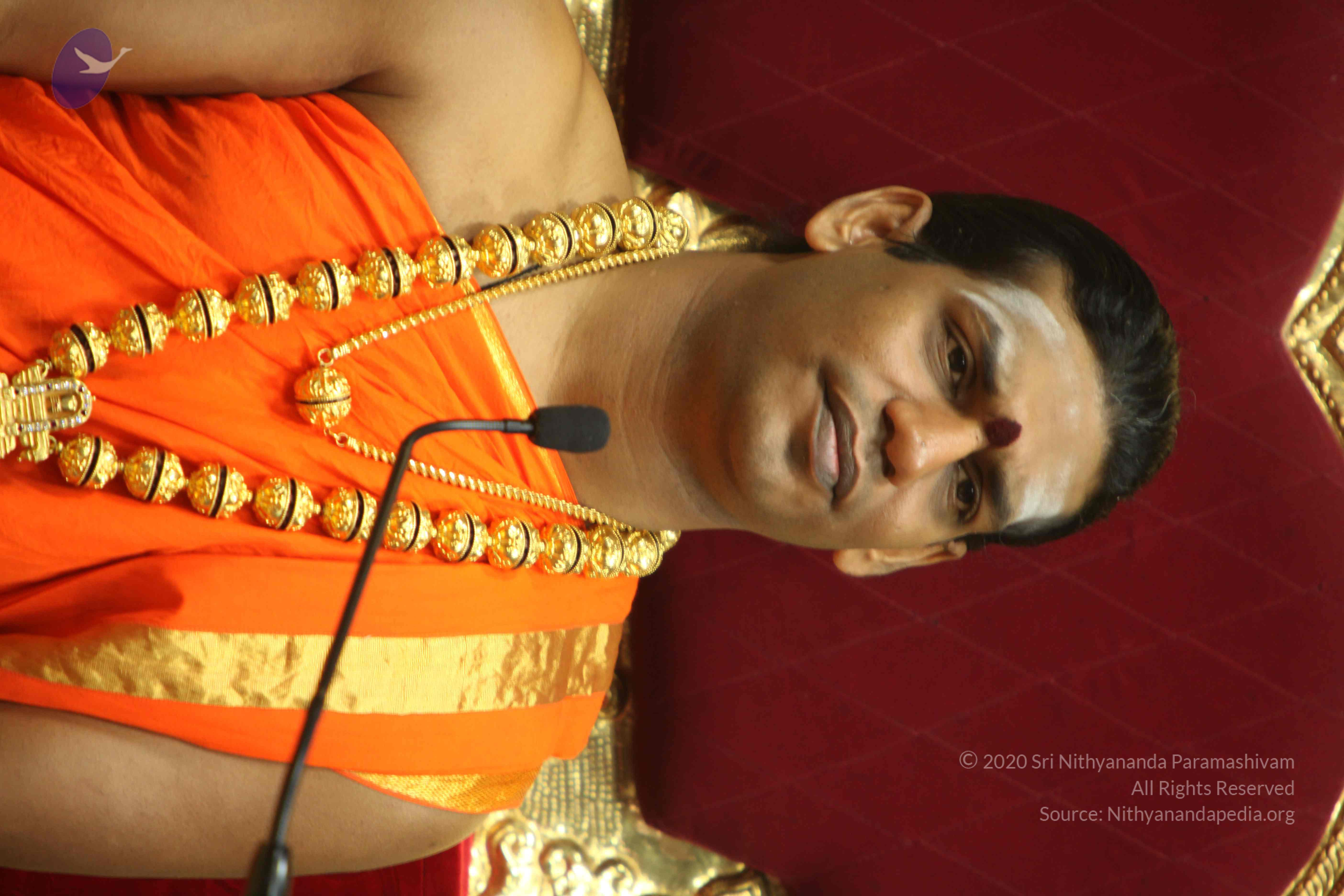 20110225_Photo_1182_IMG_1314_CMP_WM