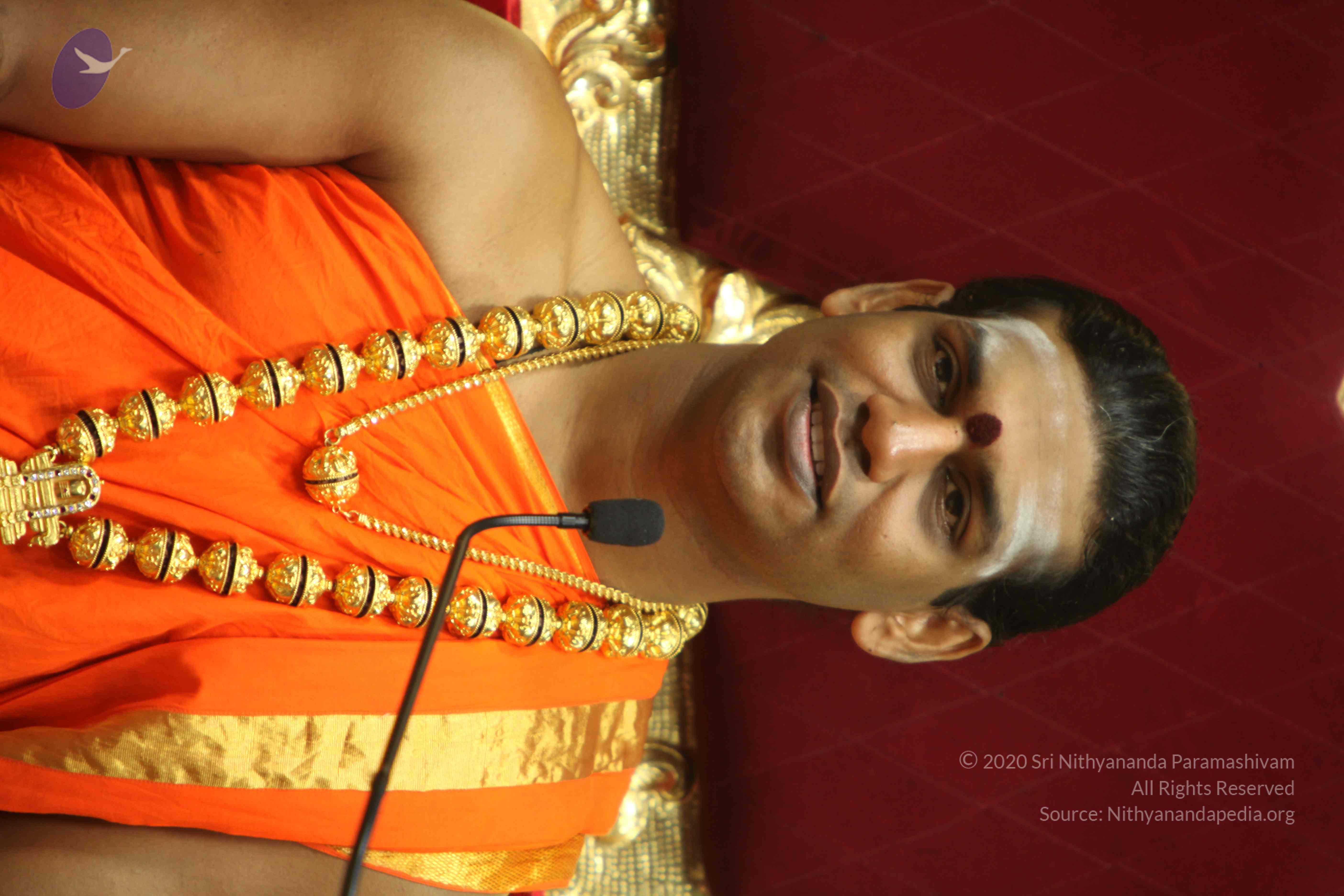 20110225_Photo_1184_IMG_1169_CMP_WM