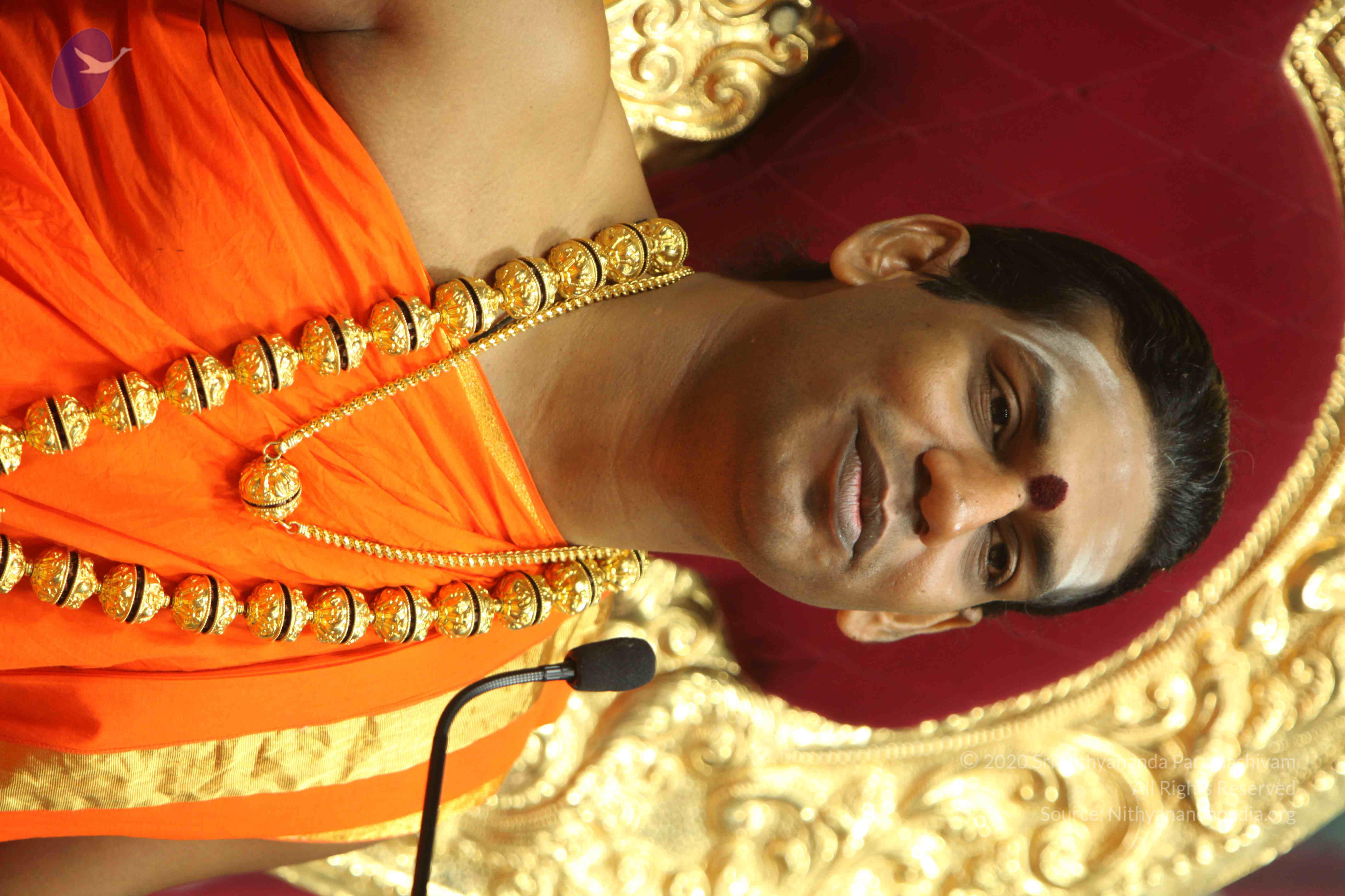 20110225_Photo_1209_IMG_1384_CMP_WM