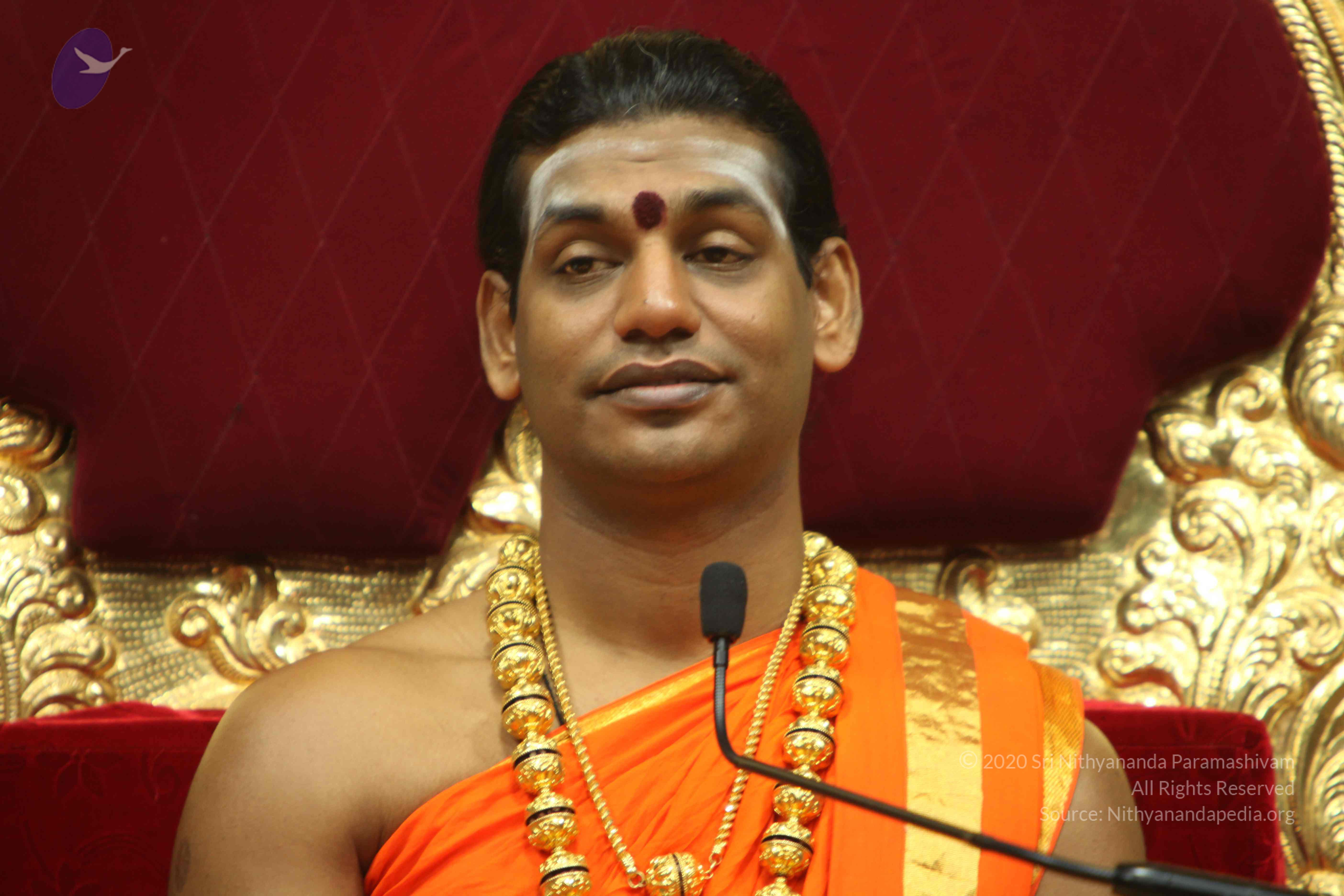 20110225_Photo_1271_IMG_1109_CMP_WM