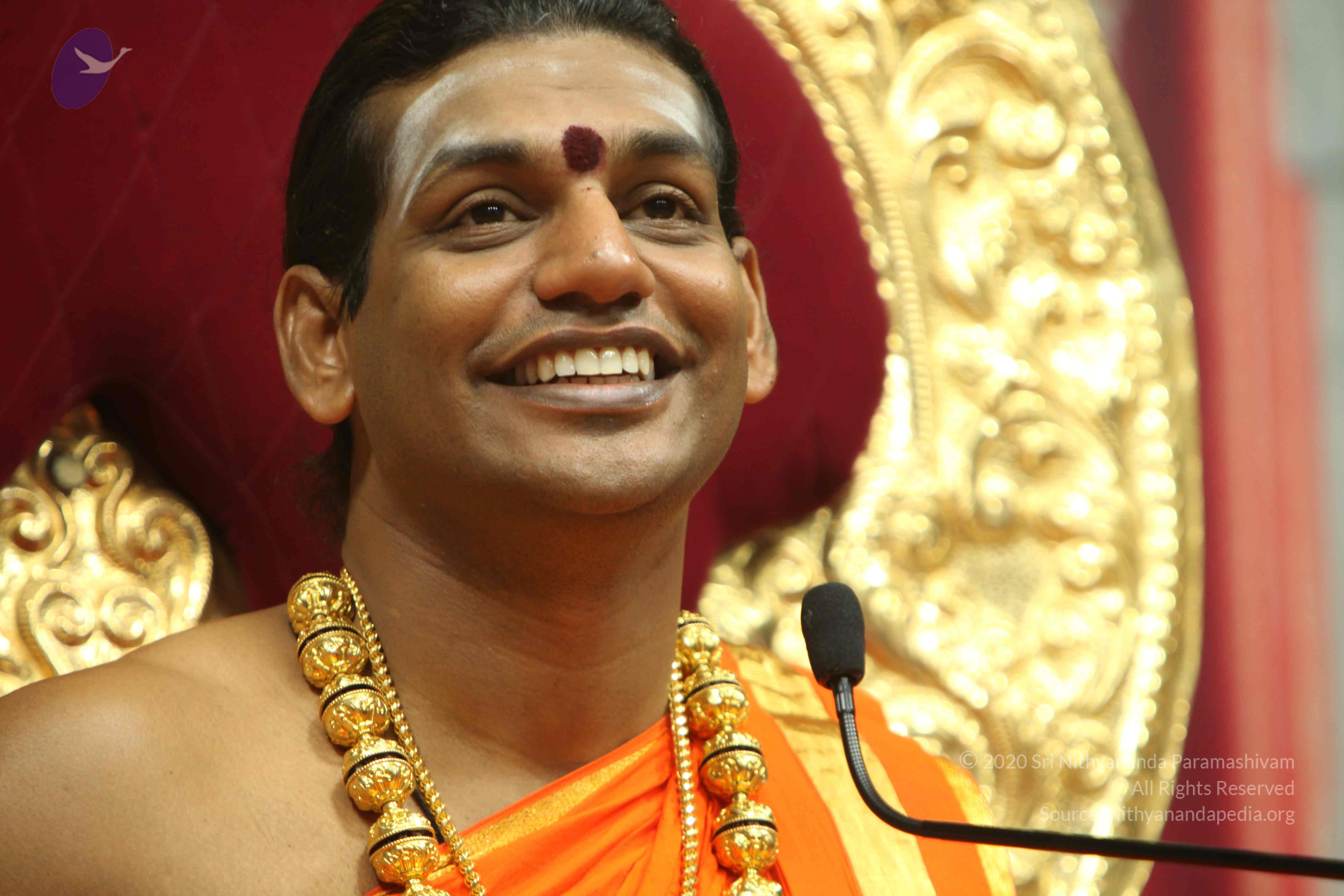 20110225_Photo_1293_IMG_1365_CMP_WM