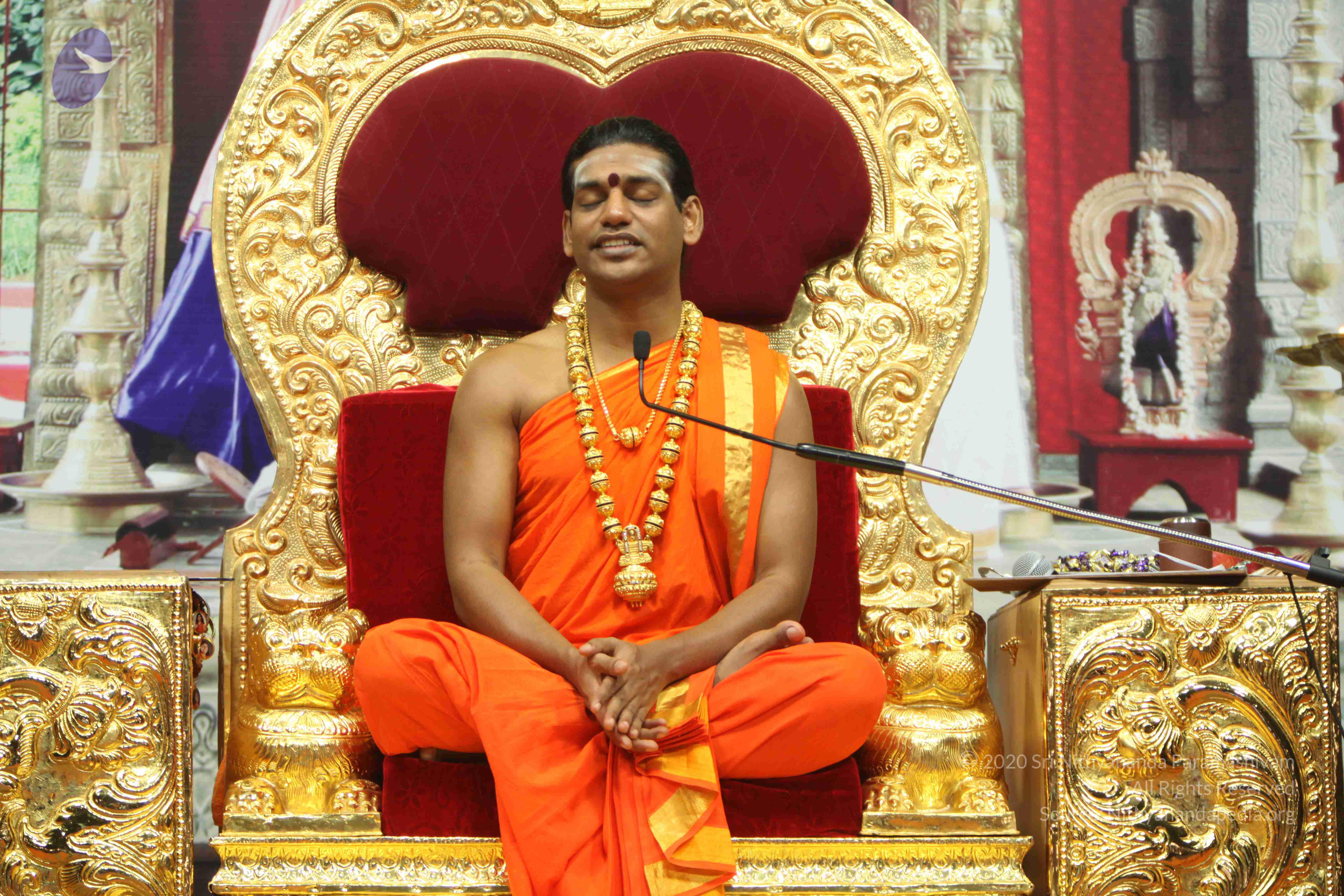 20110225_Photo_1335_IMG_1286_CMP_WM