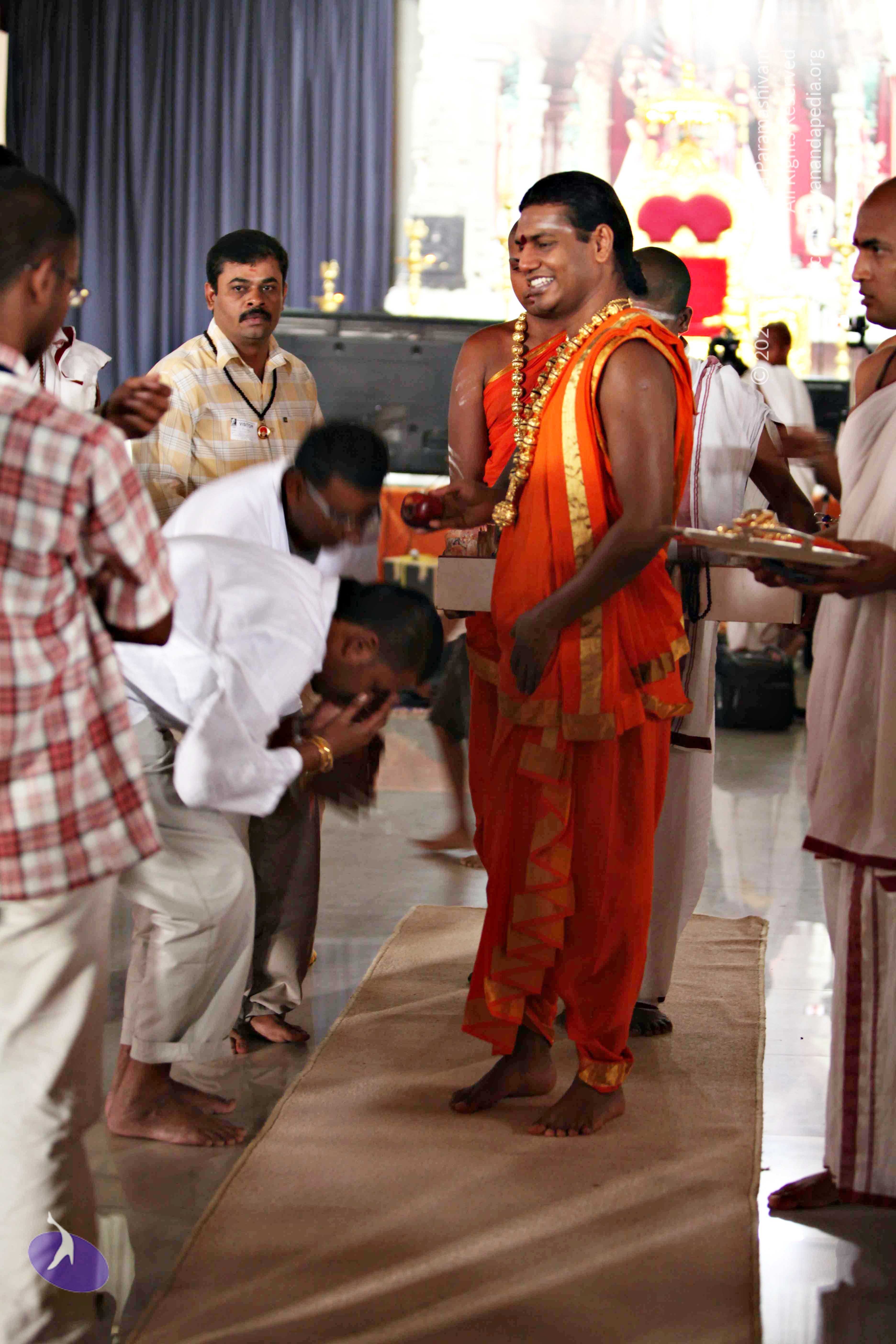 20110225_Photo_1015_IMG_1528_CMP_WM