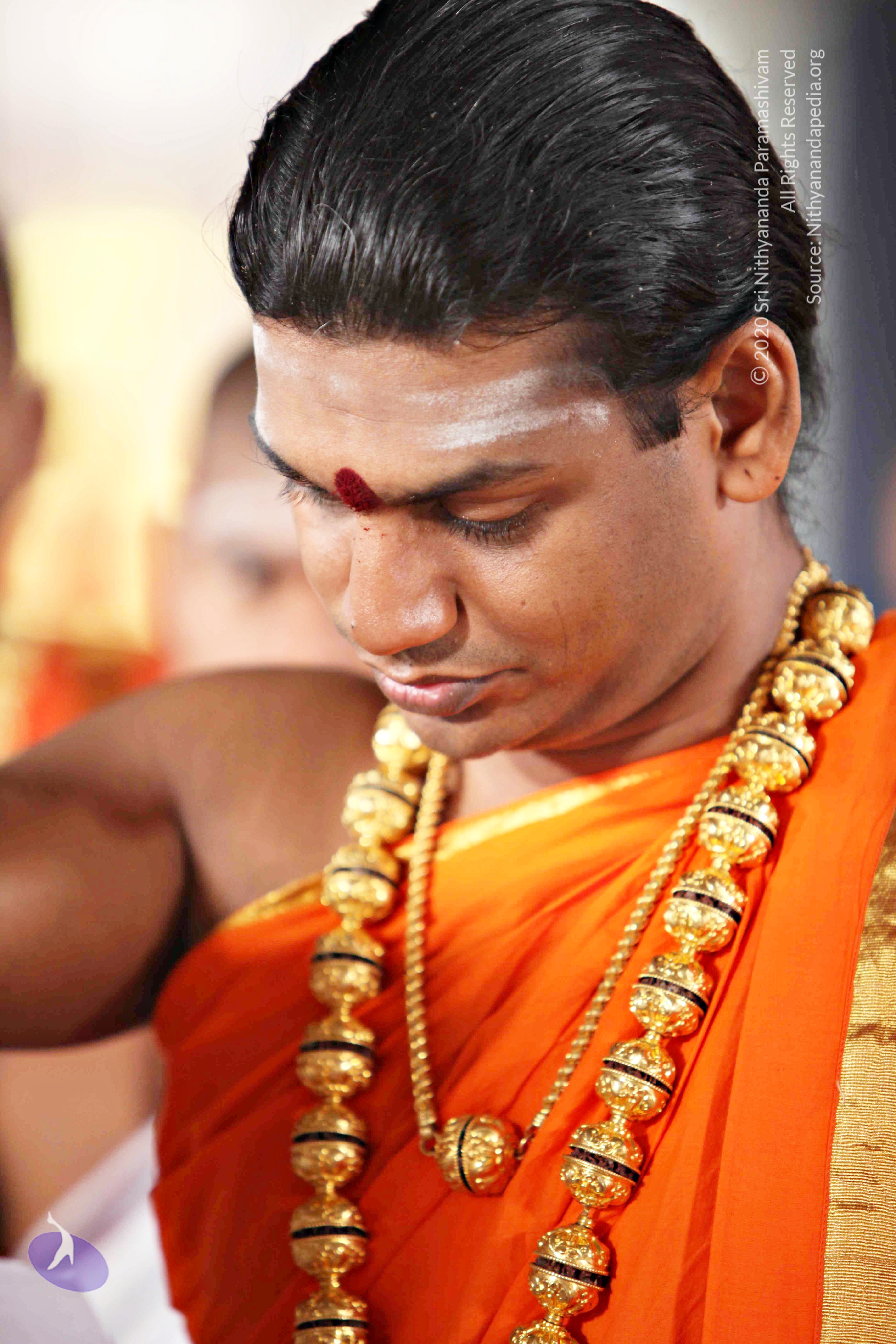 20110225_Photo_1024_IMG_1550_CMP_WM