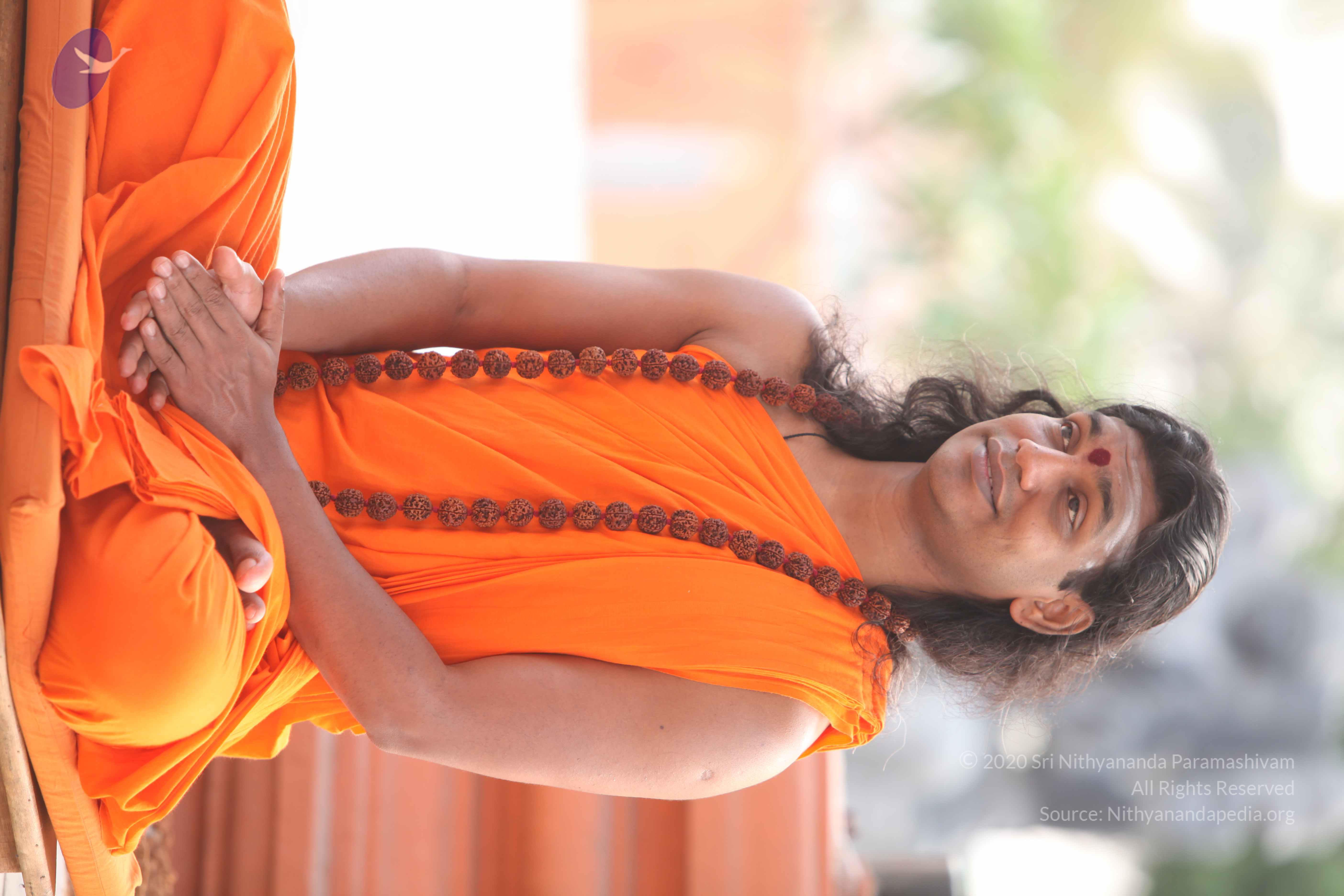 20110225_Photo_1001_IMG_1812_CMP_WM