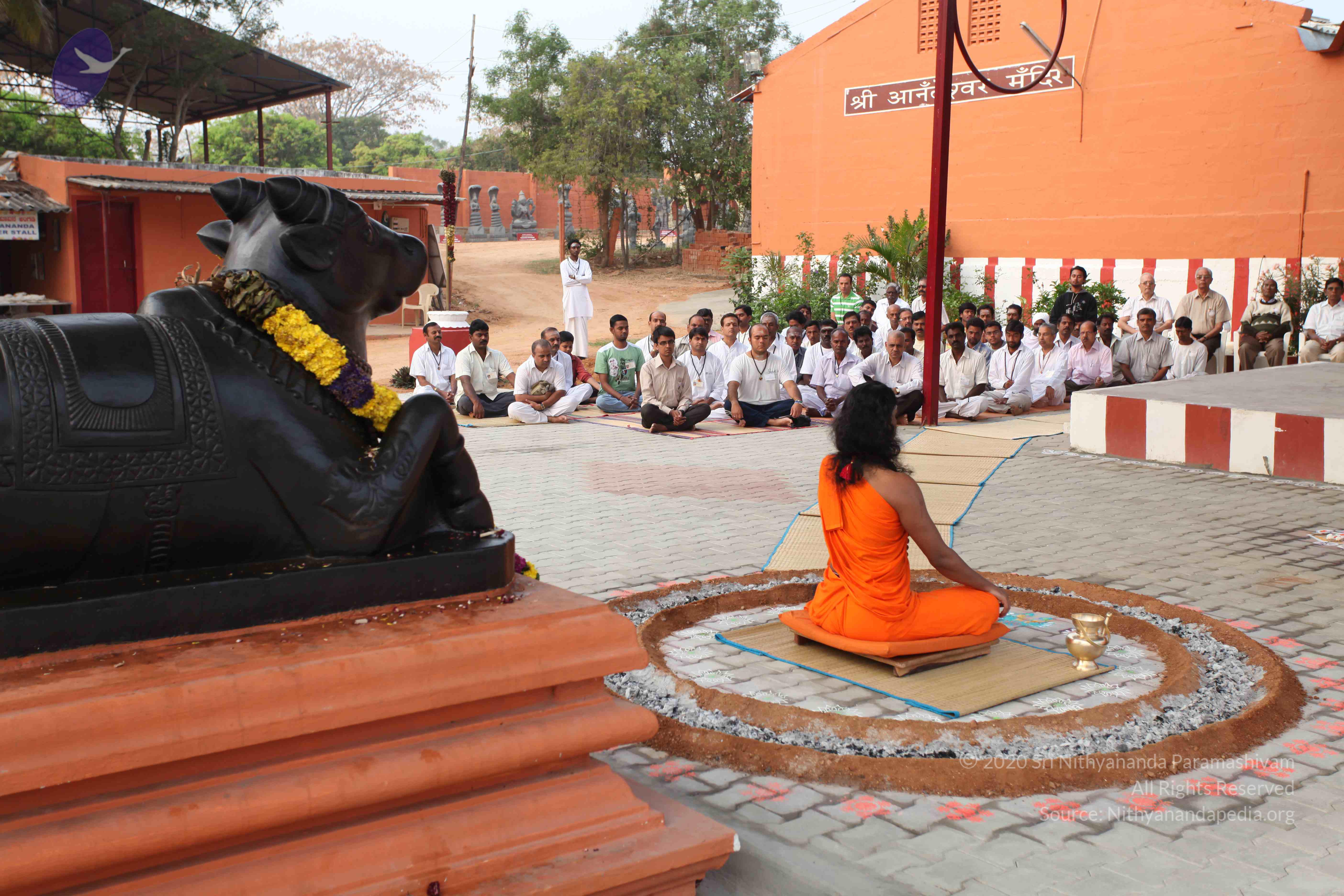 20110225_Photo_1002_IMG_1797_CMP_WM