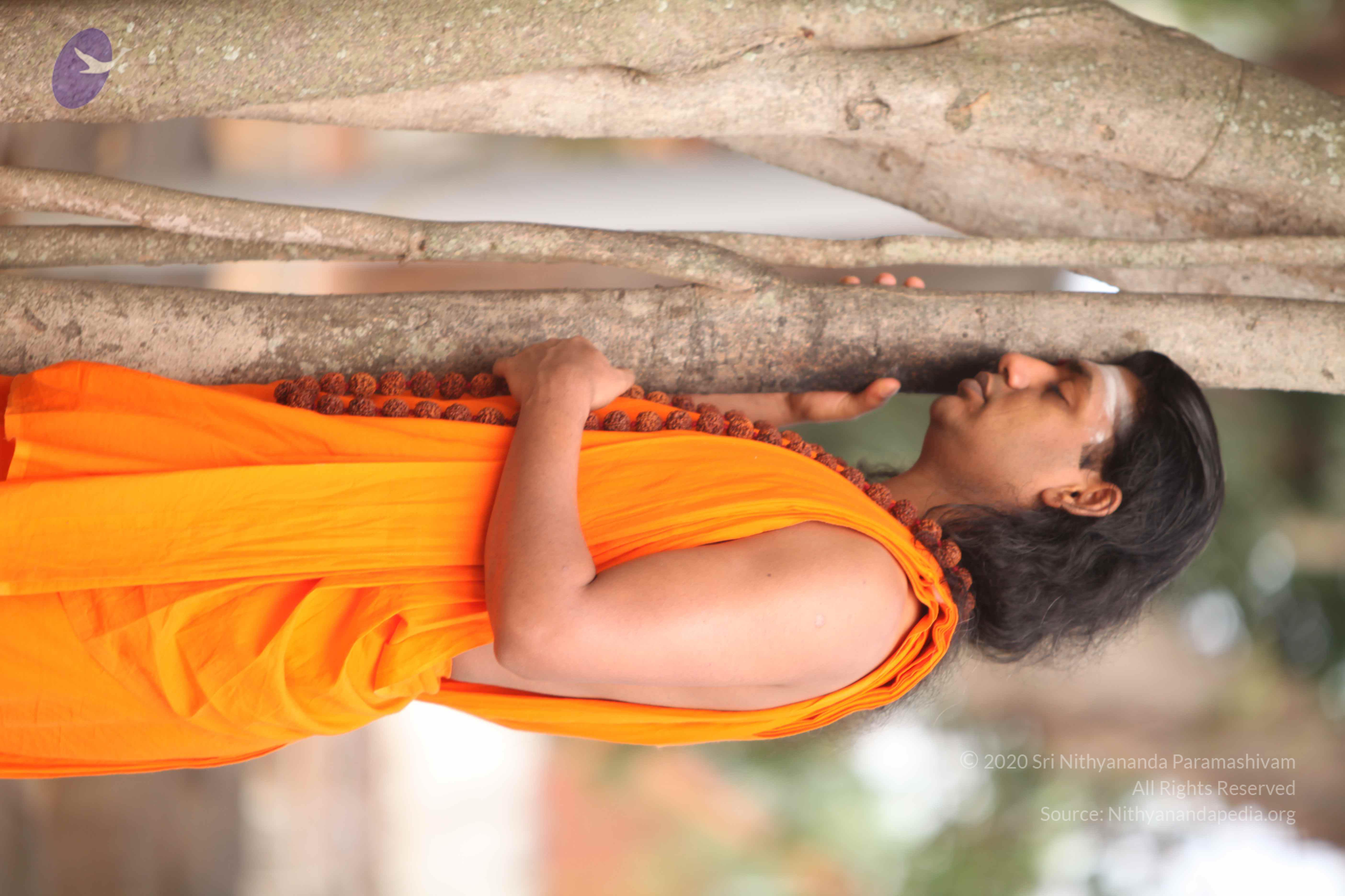 20110225_Photo_1003_IMG_1768_CMP_WM