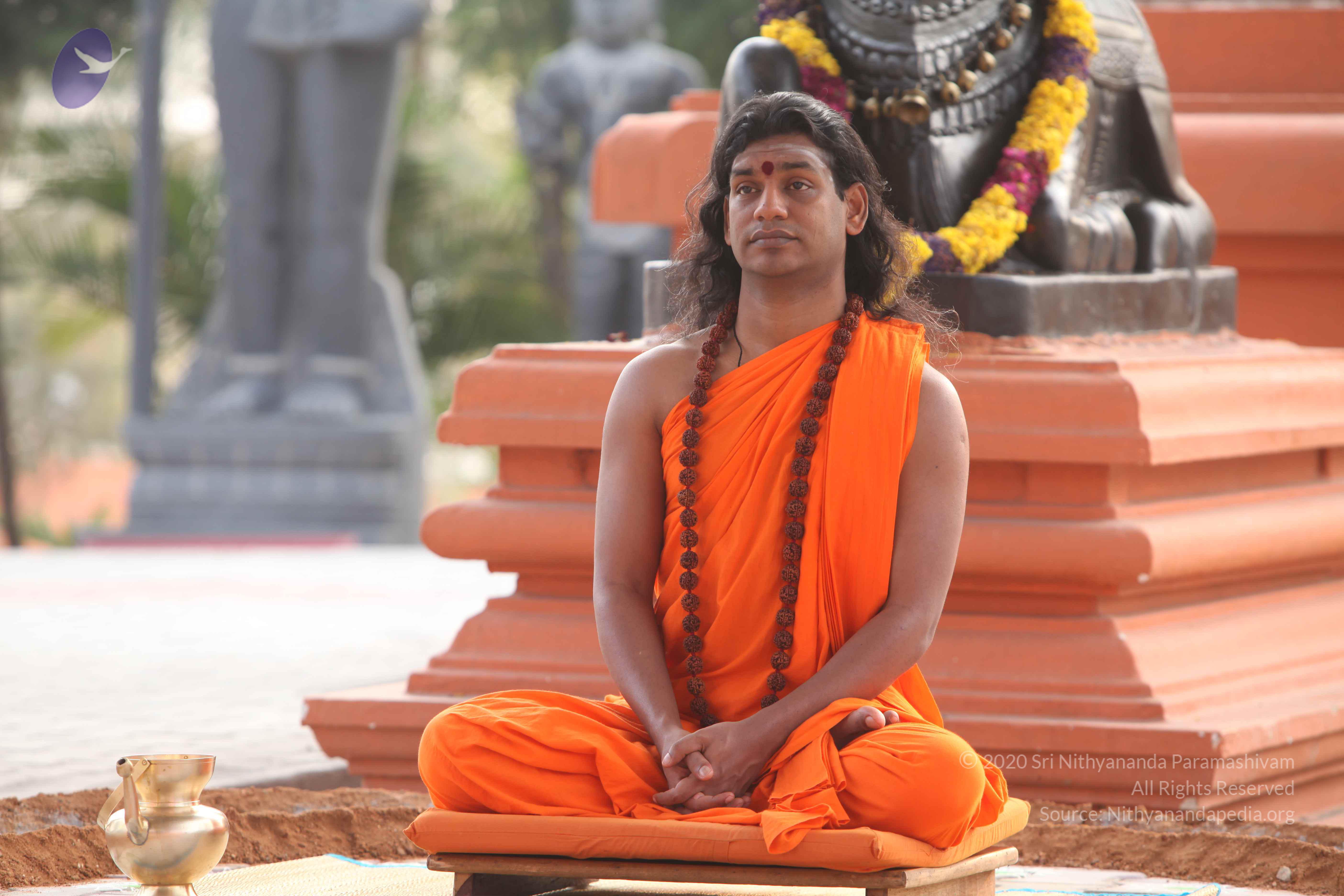 20110225_Photo_1006_IMG_1828_CMP_WM