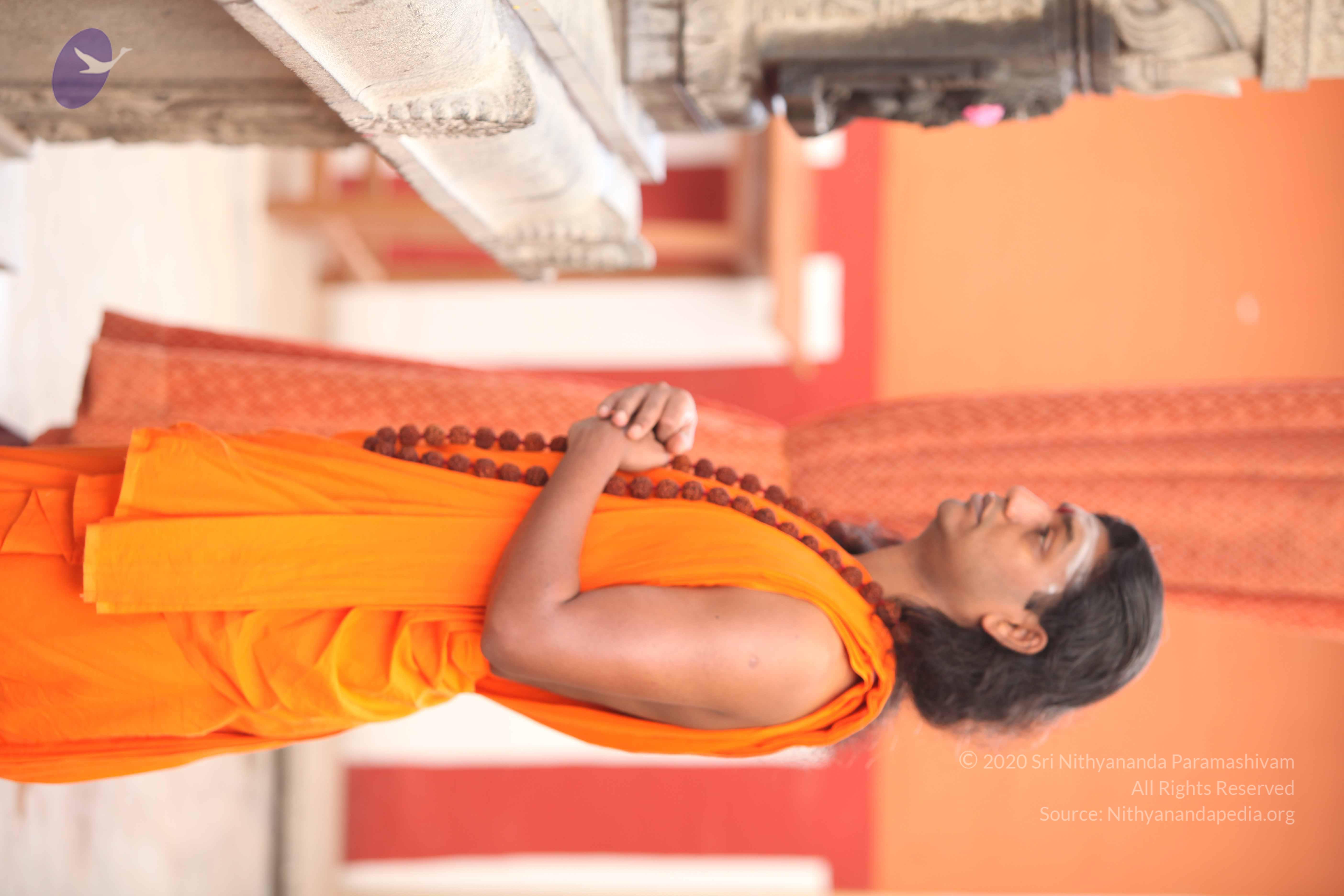 20110225_Photo_1007_IMG_1779_CMP_WM