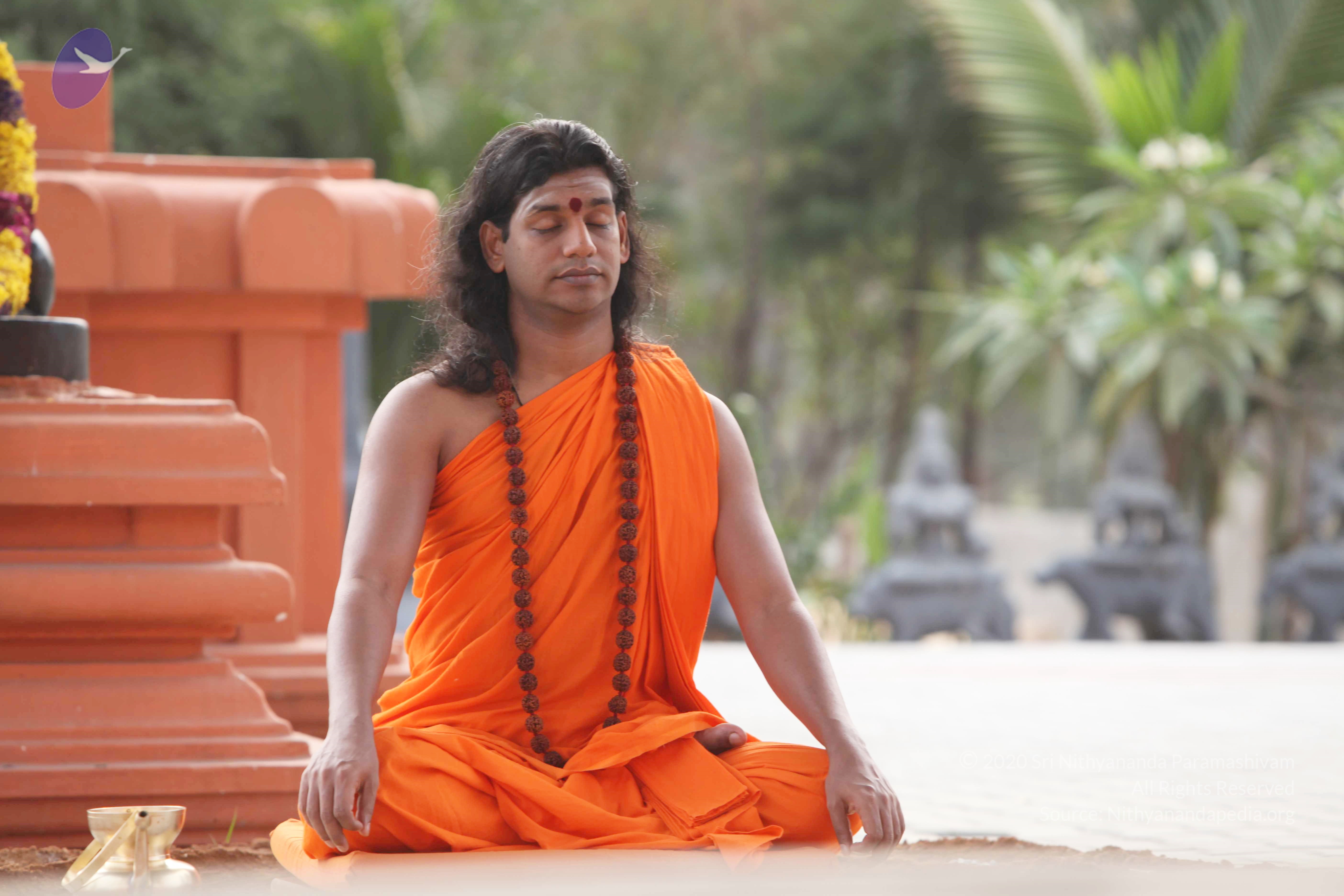 20110225_Photo_1008_IMG_1786_CMP_WM