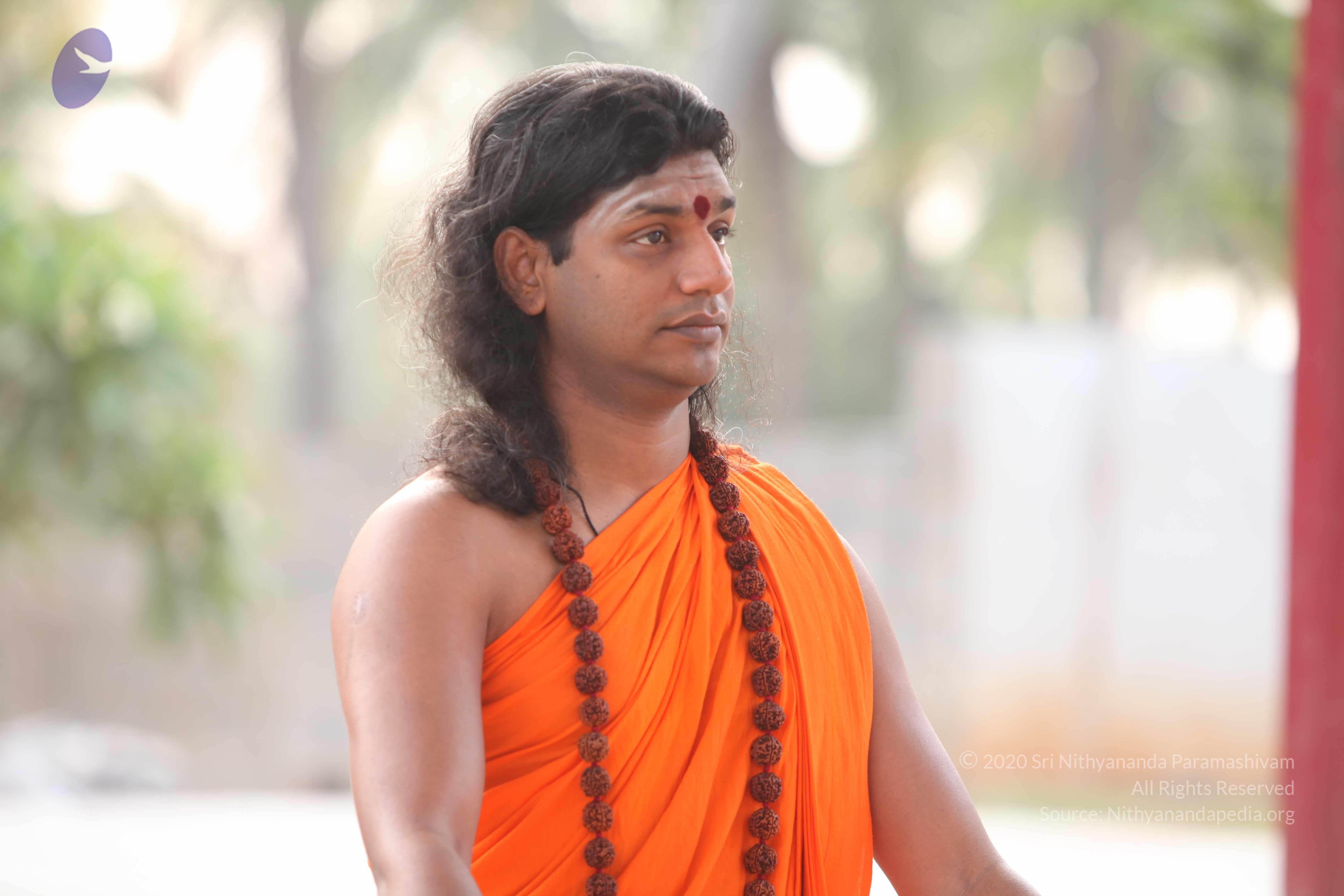 20110225_Photo_1009_IMG_1803_CMP_WM